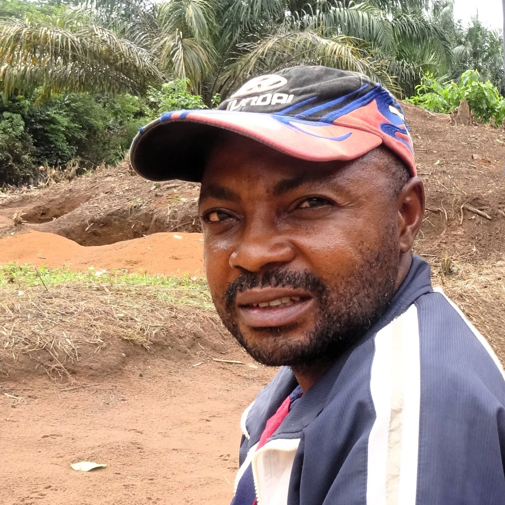 The Peace Forest has a life of its own!