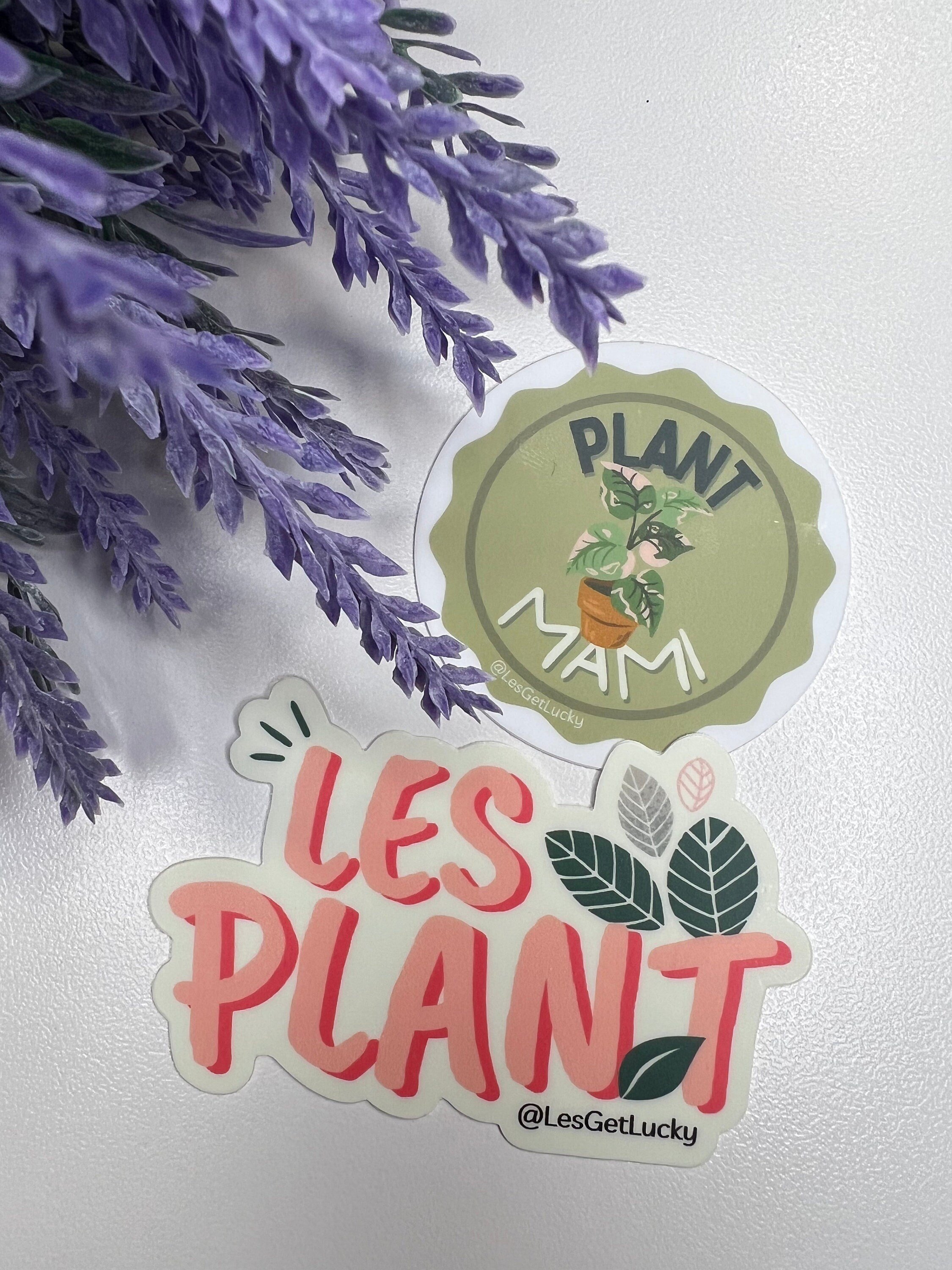 https://i.etsystatic.com/41328136/r/il/04a83f/5220520354/il_fullxfull.5220520354_3d4h.jpg