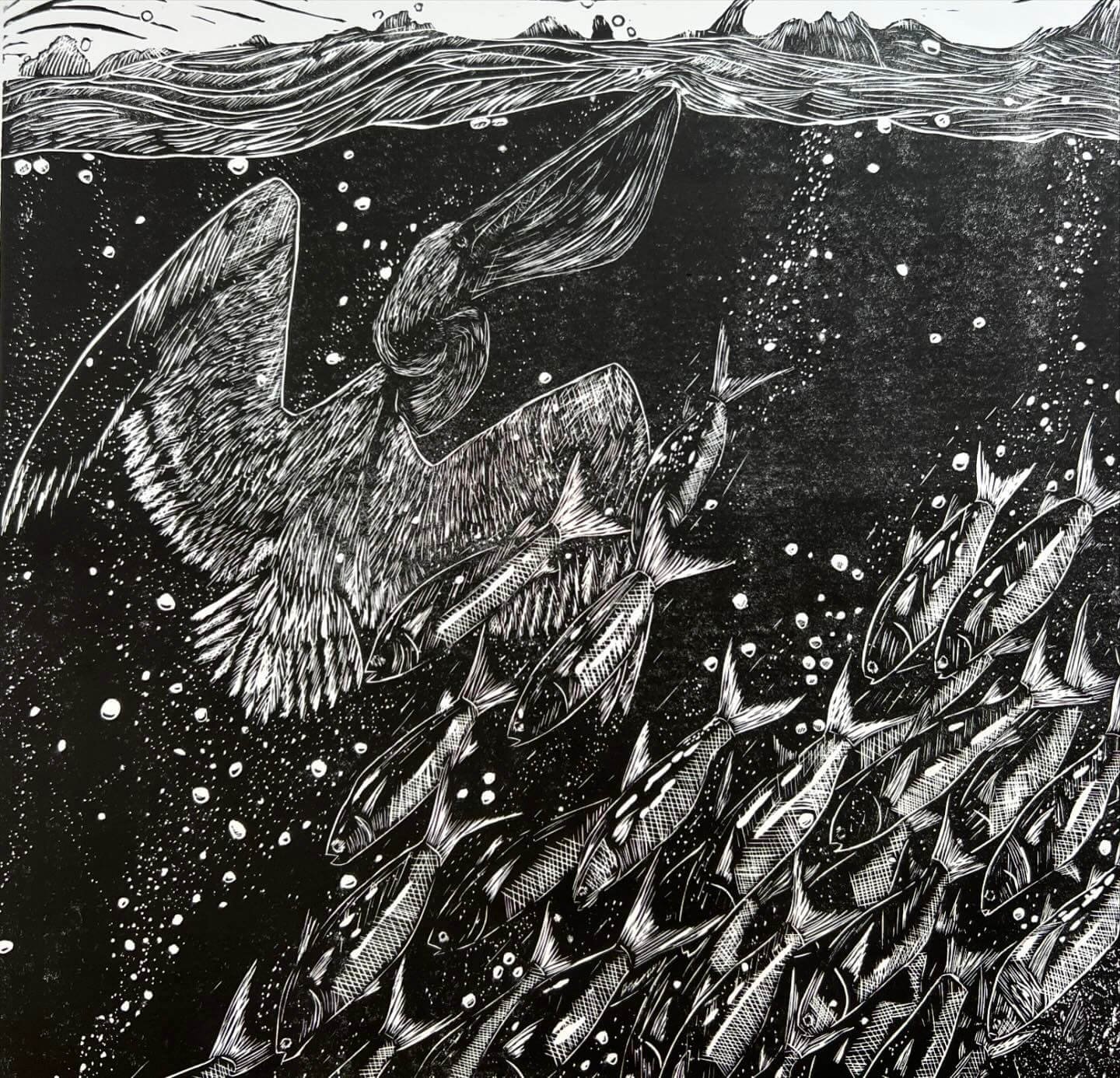 Print featuring 3 brown pelicans and fish under water