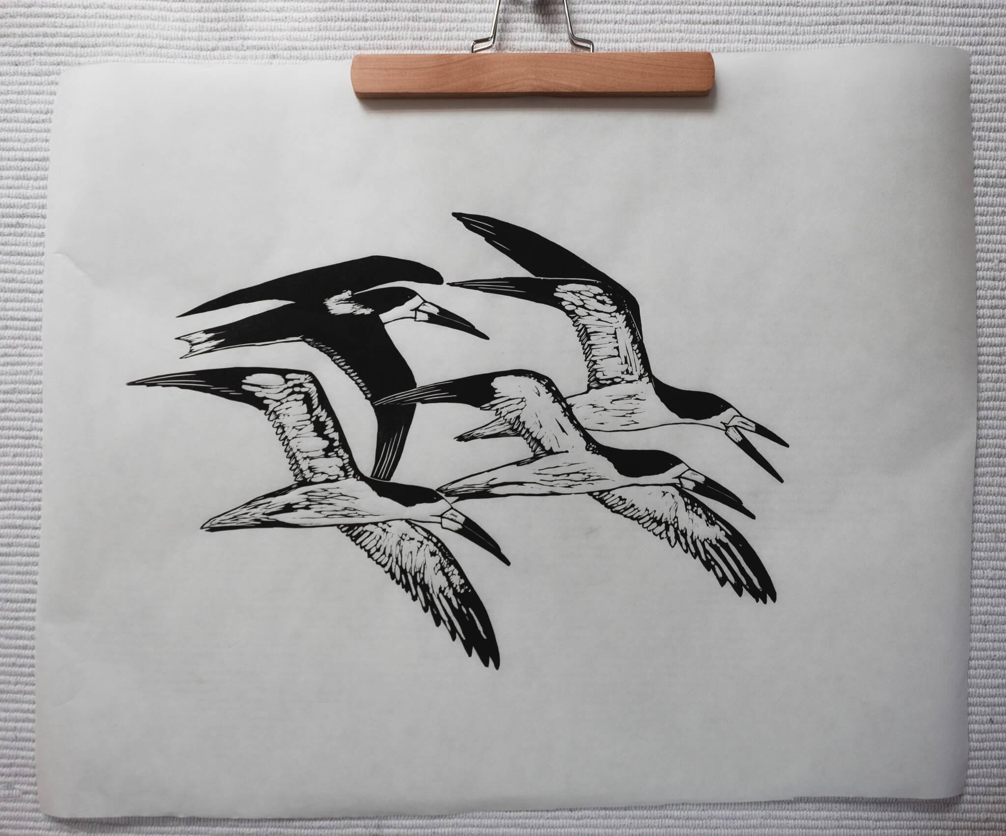 original print of black skimmers in flight