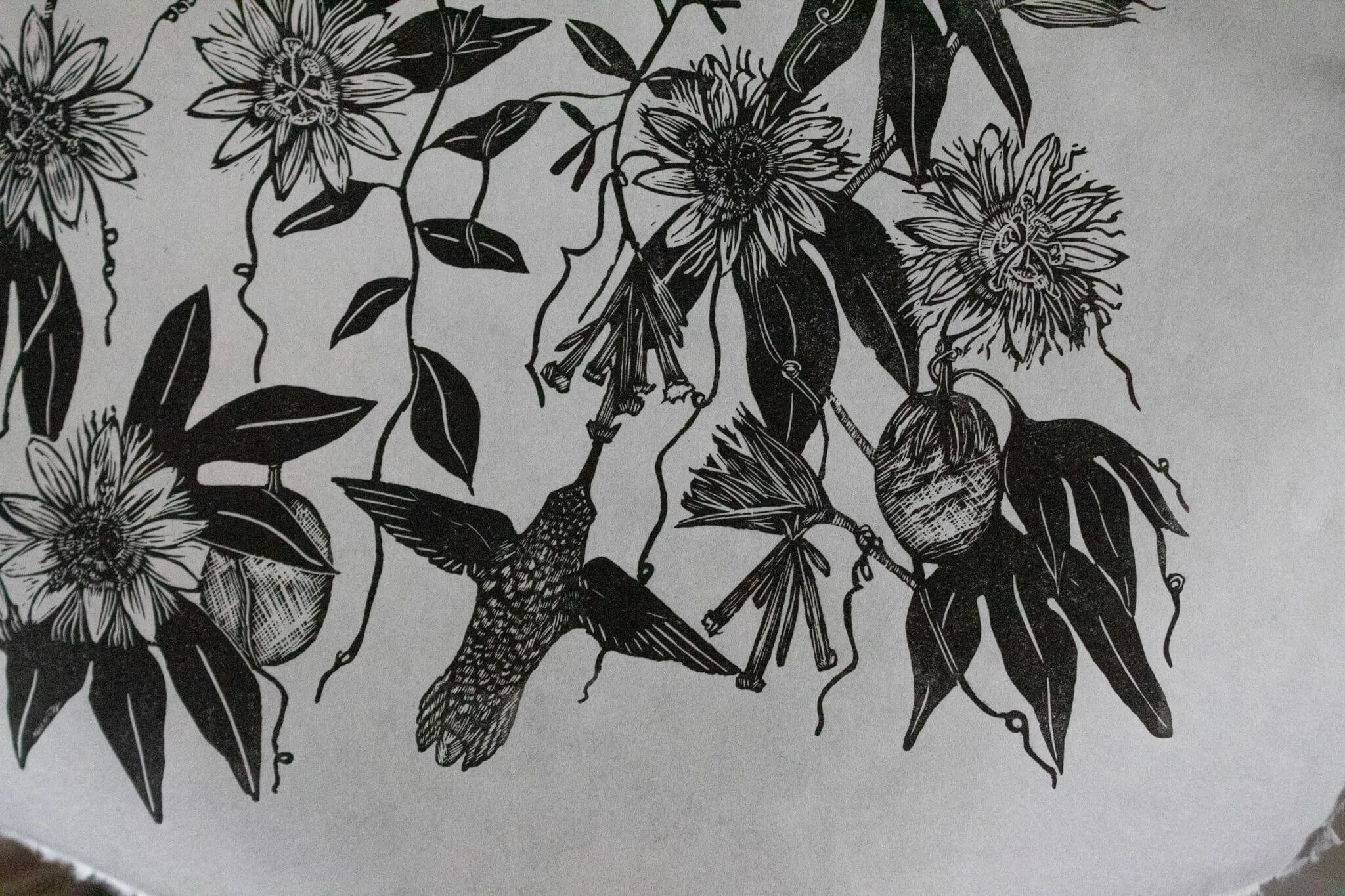 hummingbird print