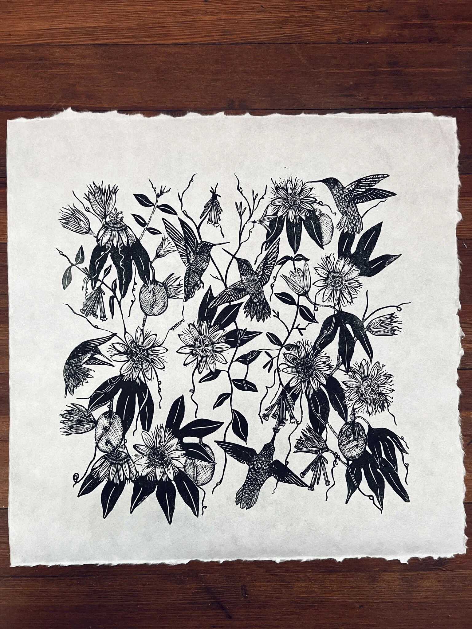 Passiflora