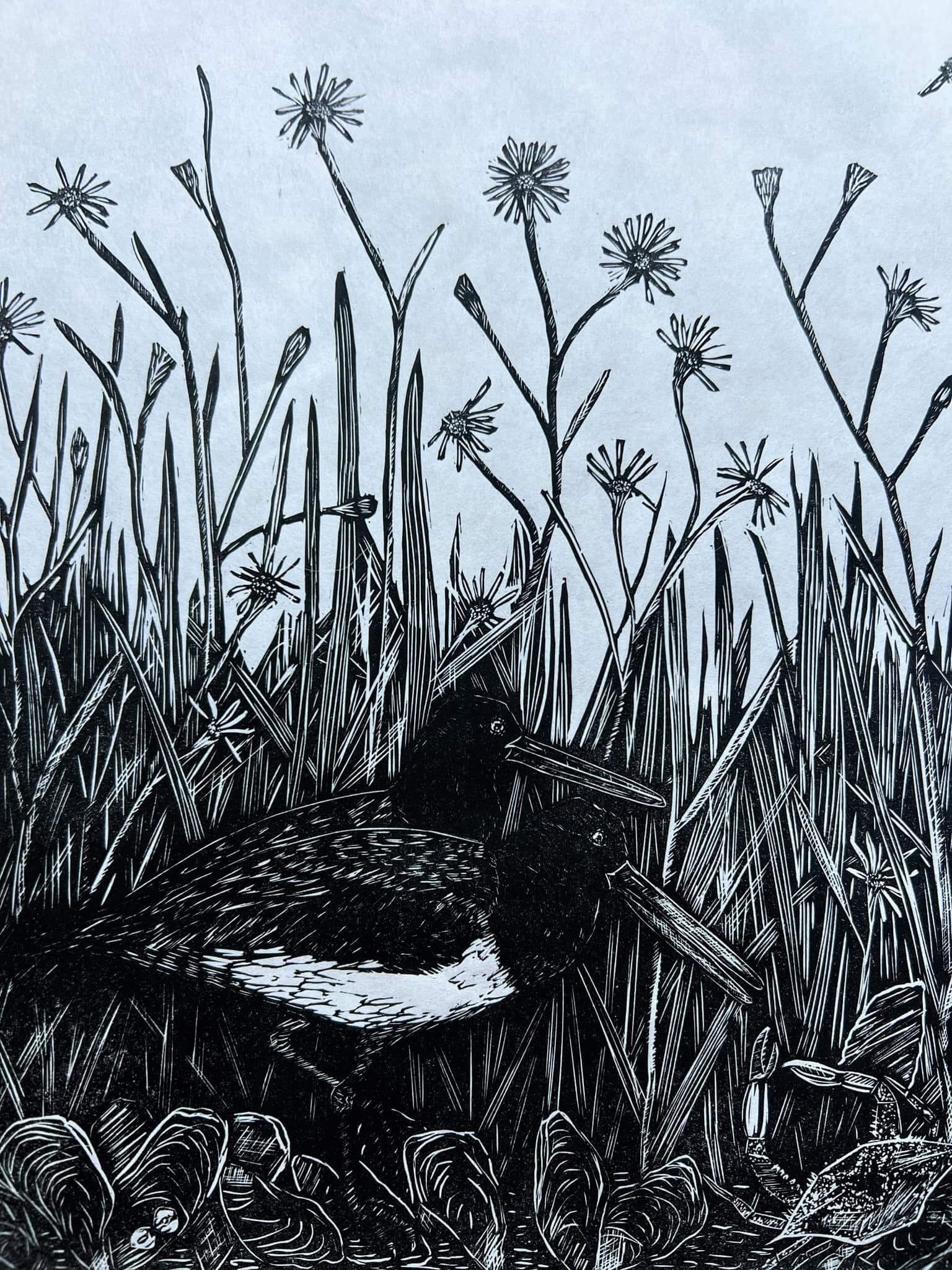 print of american oystercatchers in salt marsh