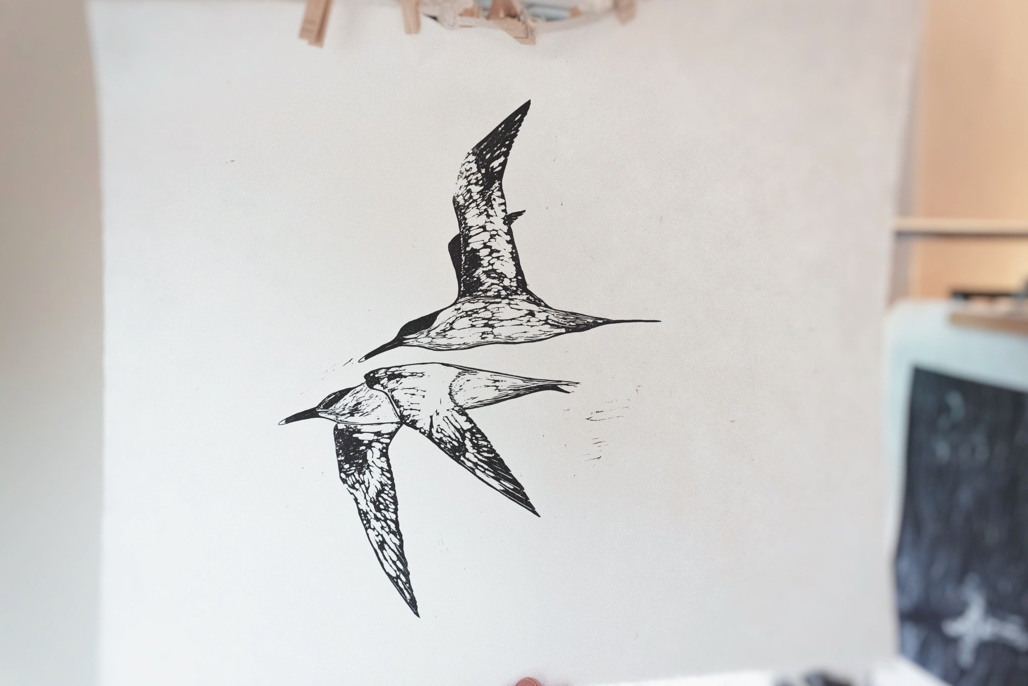 Two sandwich terns flying