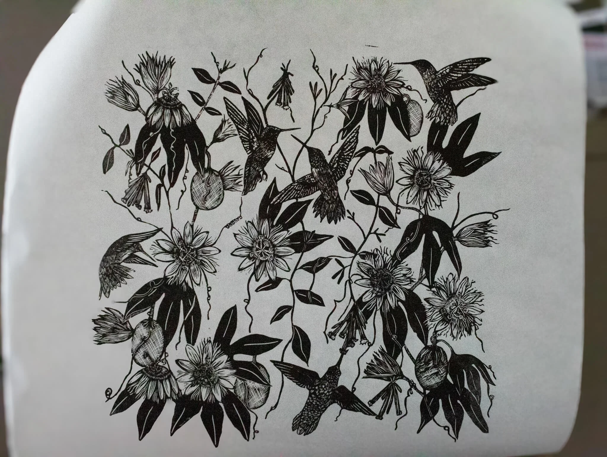 Passiflora