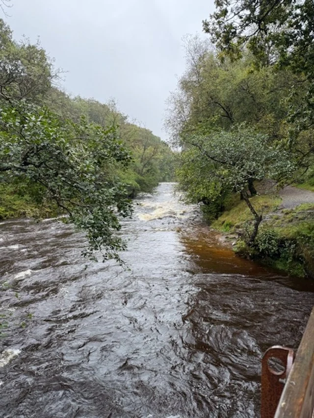 Behind the Scenes at DEVA: A Season of Learning &amp; Moving Forward