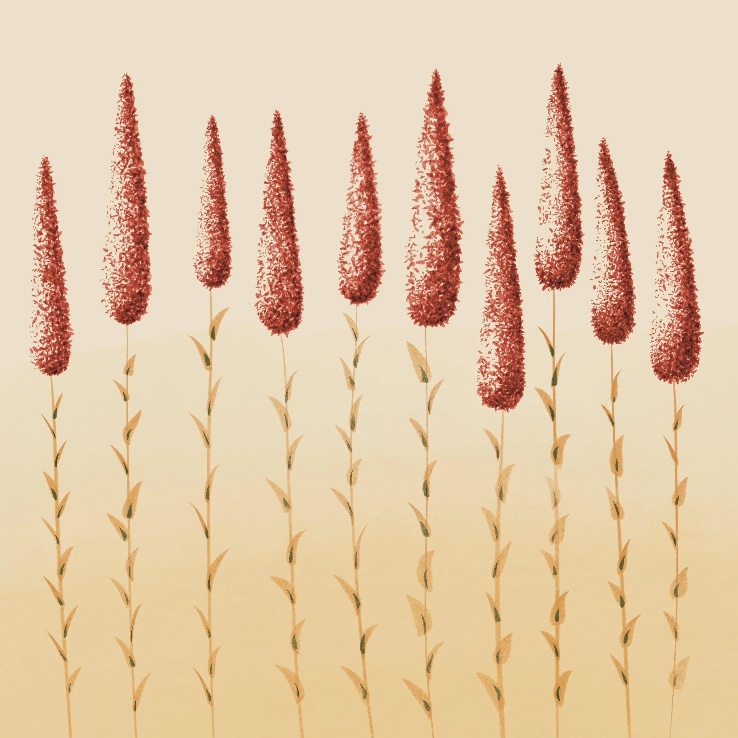 Strawberry fields.jpeg