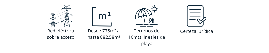 Texto (5).png