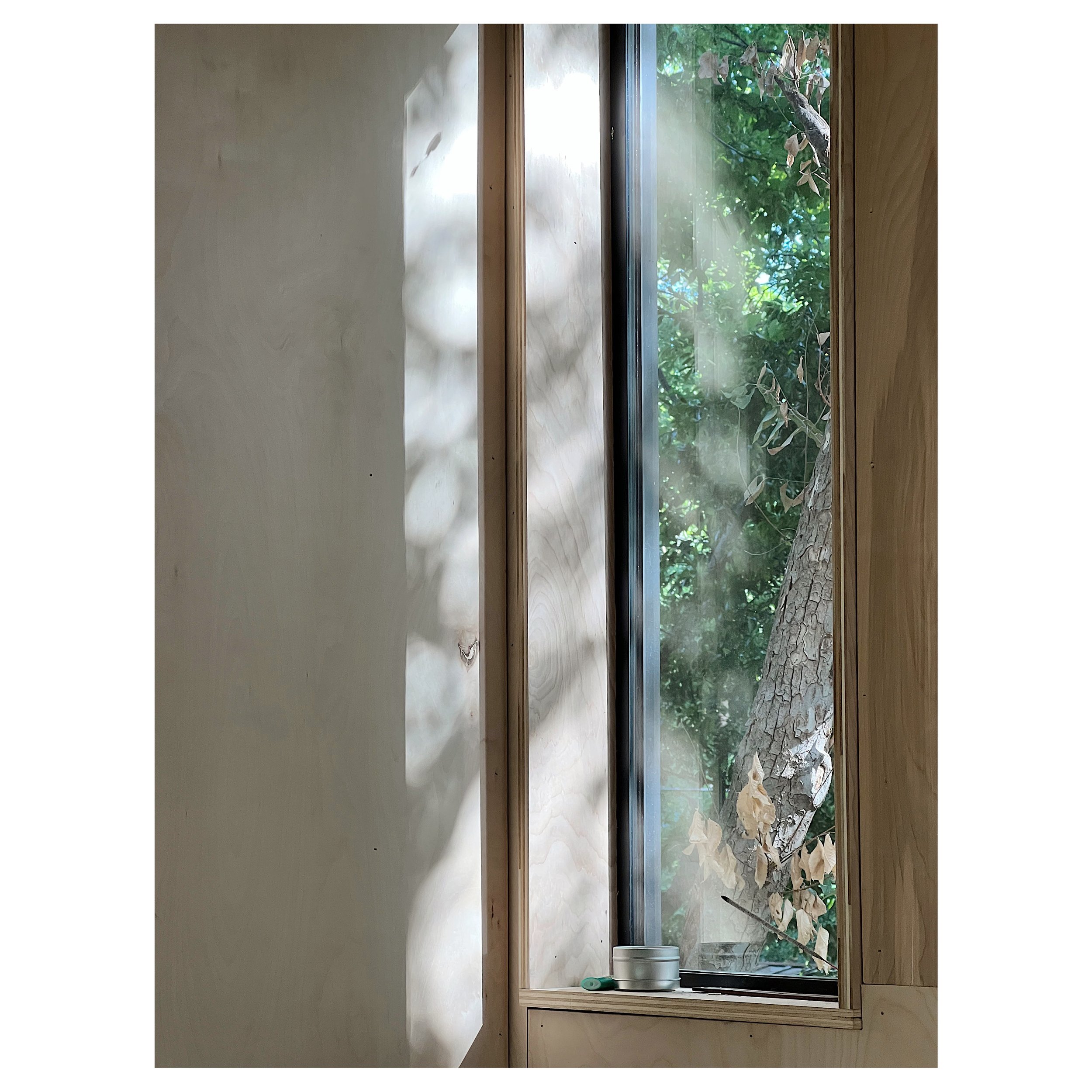 View through a window showing green foliage and a tree trunk outside.