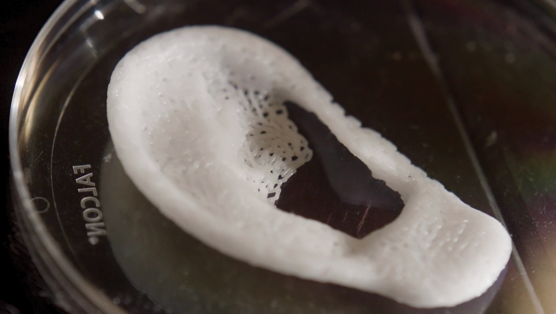 _TSICBD 3dprintedEar.png