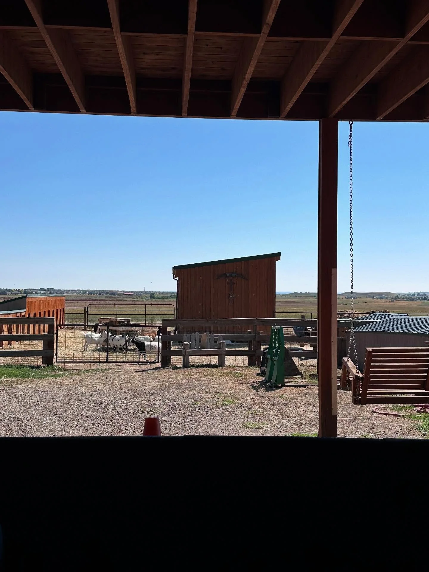 🧶 This was my view today at yoga&hellip; baby fainting goat yoga to be exact. (Swipe to see the cuties&hellip;) We have gone before and we will go again! Such a moment of unfiltered joy. The babies are 2.5 months now - I&rsquo;m going to guess betwe