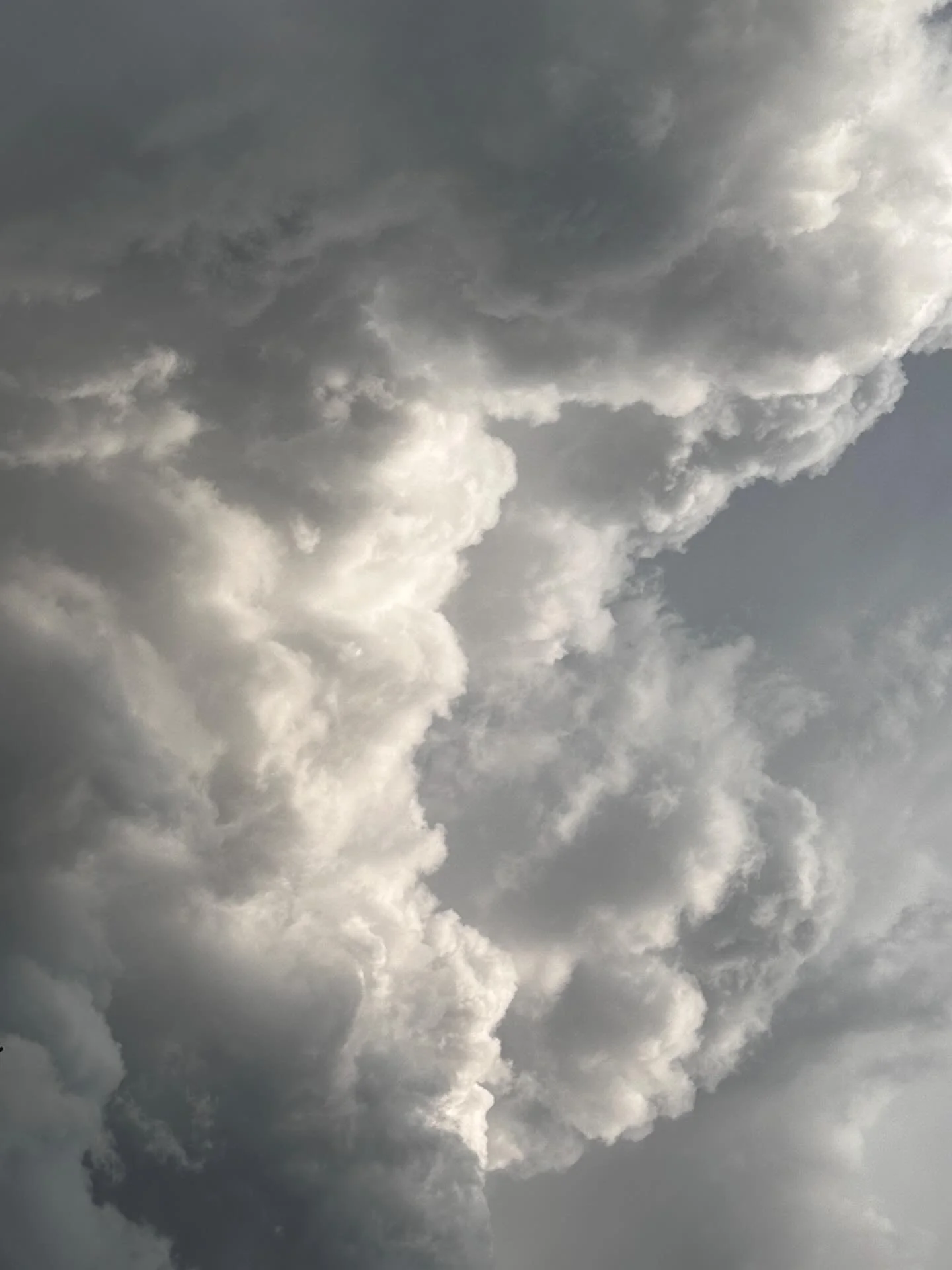 🧶 A short and simple message tonight:

If you can&rsquo;t say something nice, don&rsquo;t say anything at all. 

Can you imagine the joy and peace we would have in our lives if everyone thought of this childhood mantra before they spoke (or texted, 