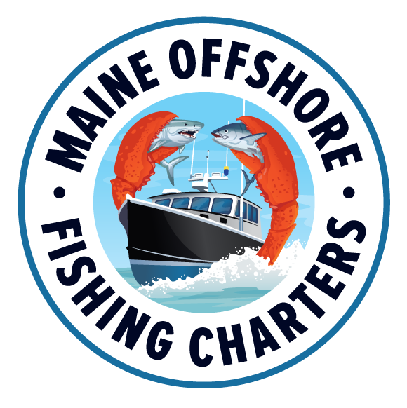 Maine Offshore Fishing Charters Your gateway to tuna and shark adventures