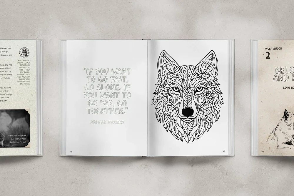 colouring1.webp