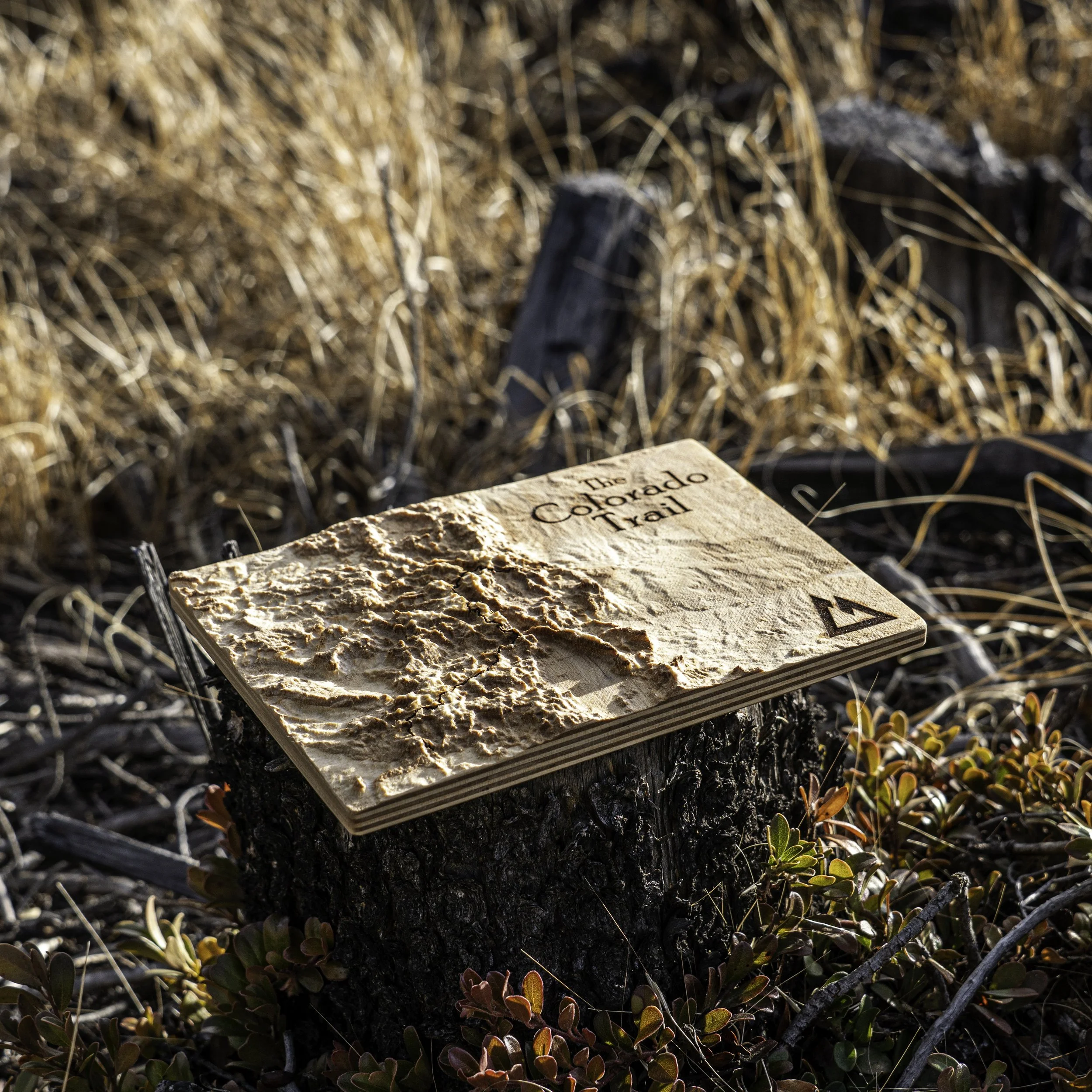 Colorado Trail 2.jpg