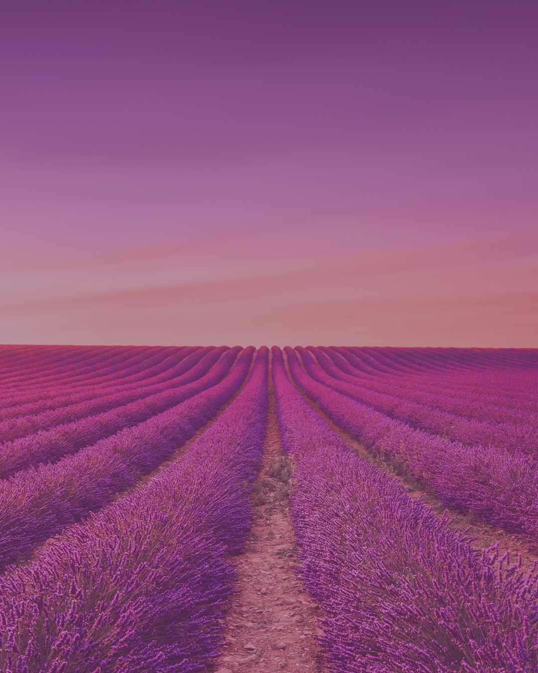 37: Midlife &amp; Menopause: The 2025 Report