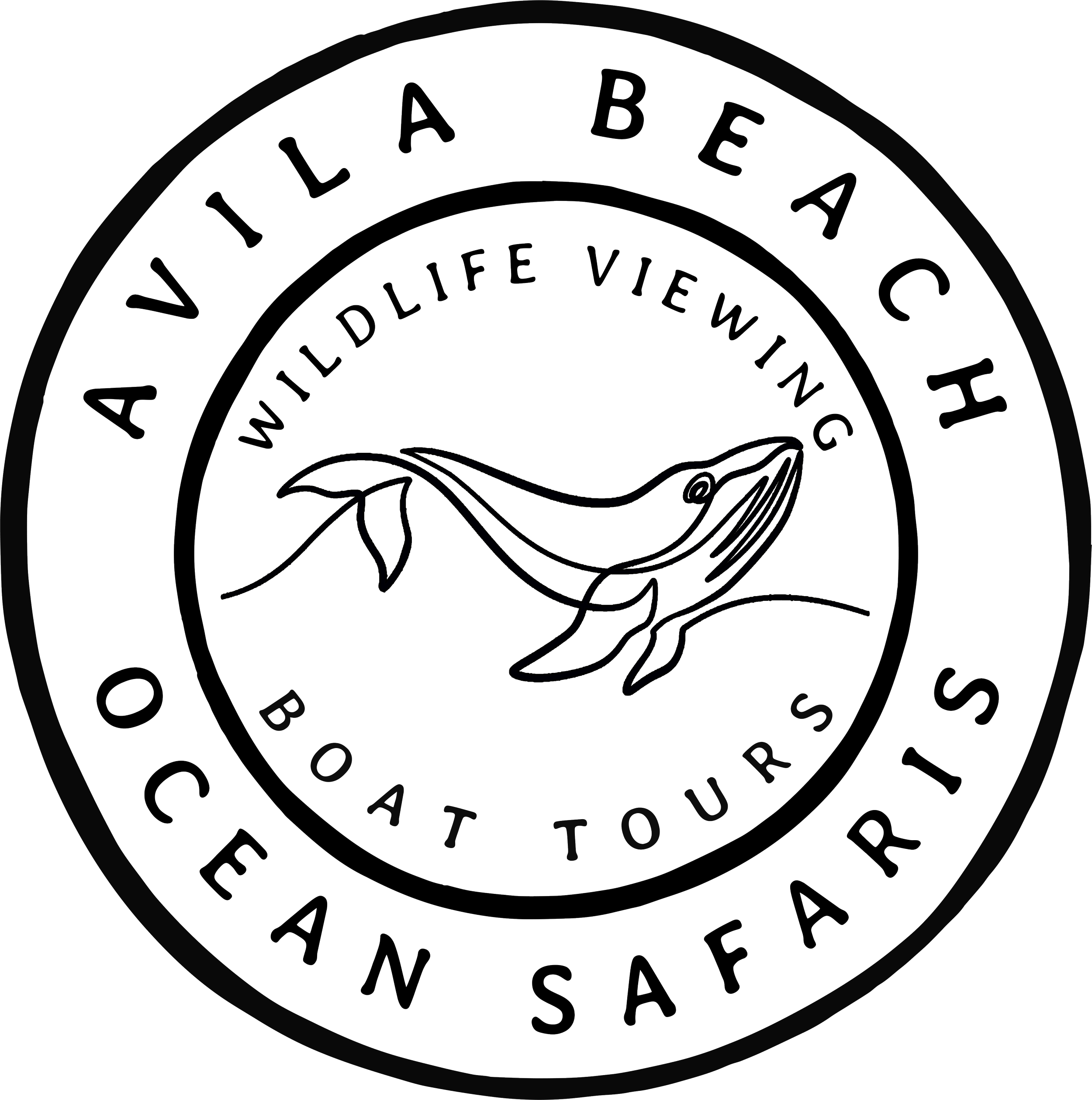 avila beach whale watching, pismo beach whale watching, central coast tours, slo tours, whale watching avila beach