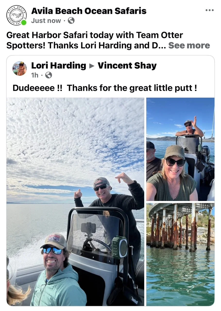 Harbor Tour with Avila Beach Ocean Safaris