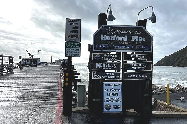 avila beach whale watching, whale watching avila beach, pismo beach whale watching, harford pier tours