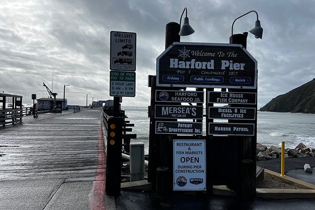 port San Luis harbor whale watching