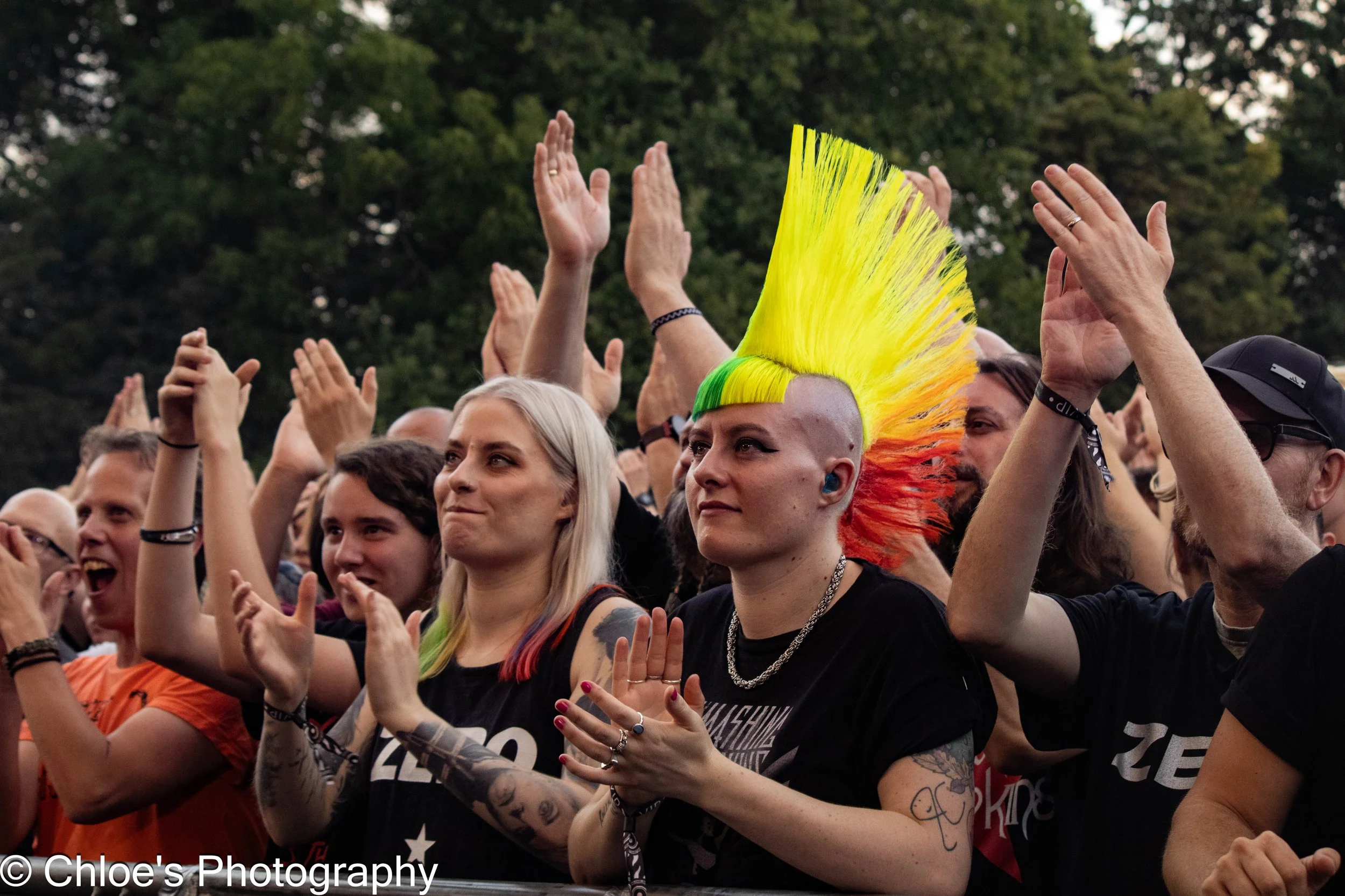 Skunk Anansie