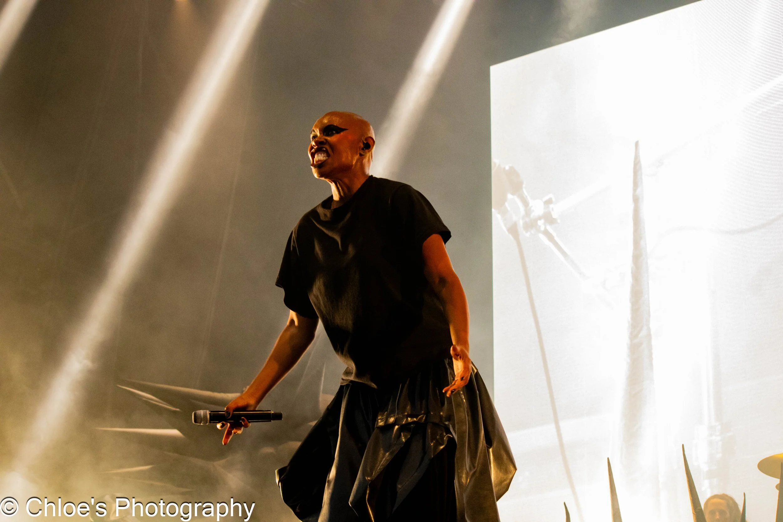 Skunk Anansie