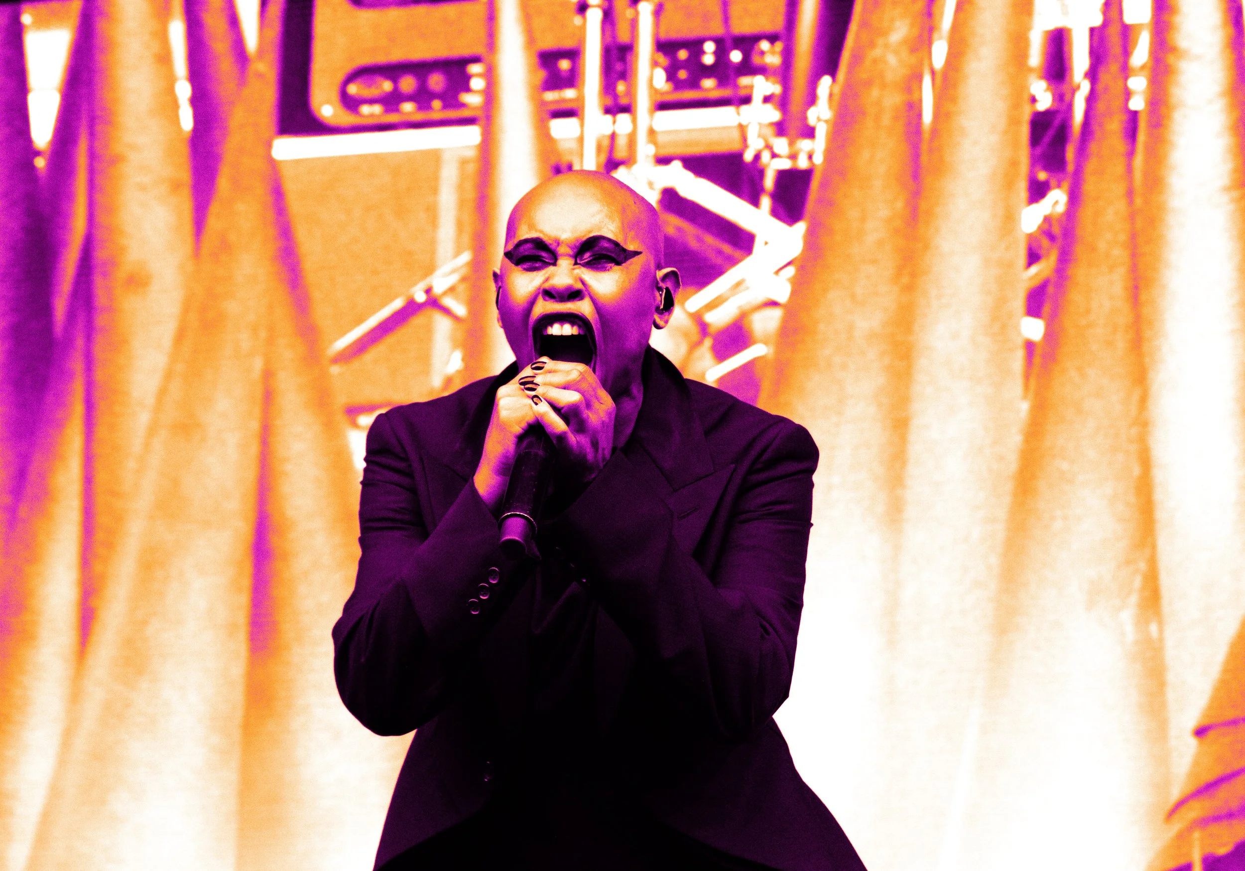 Skunk Anansie