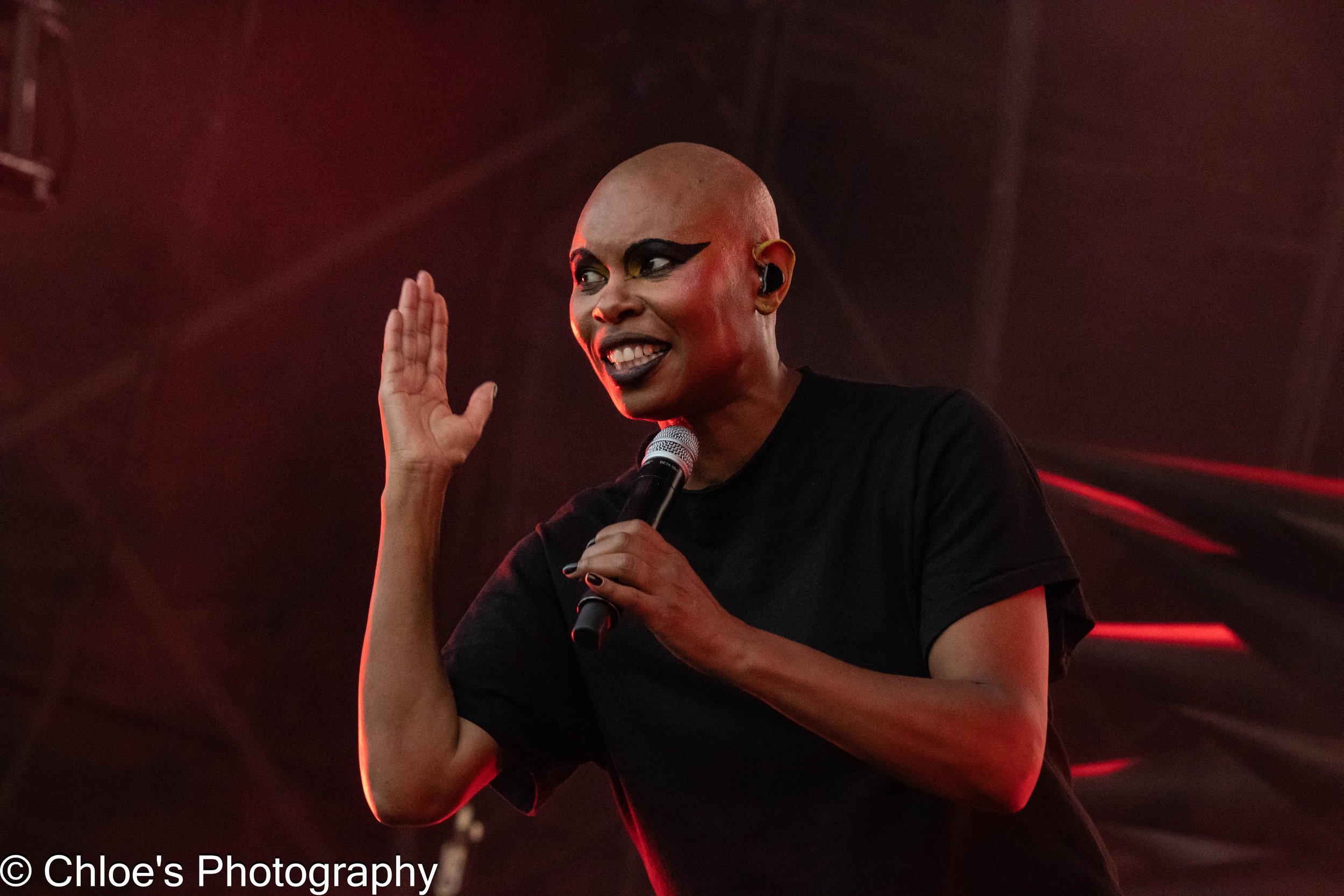 Skunk Anansie