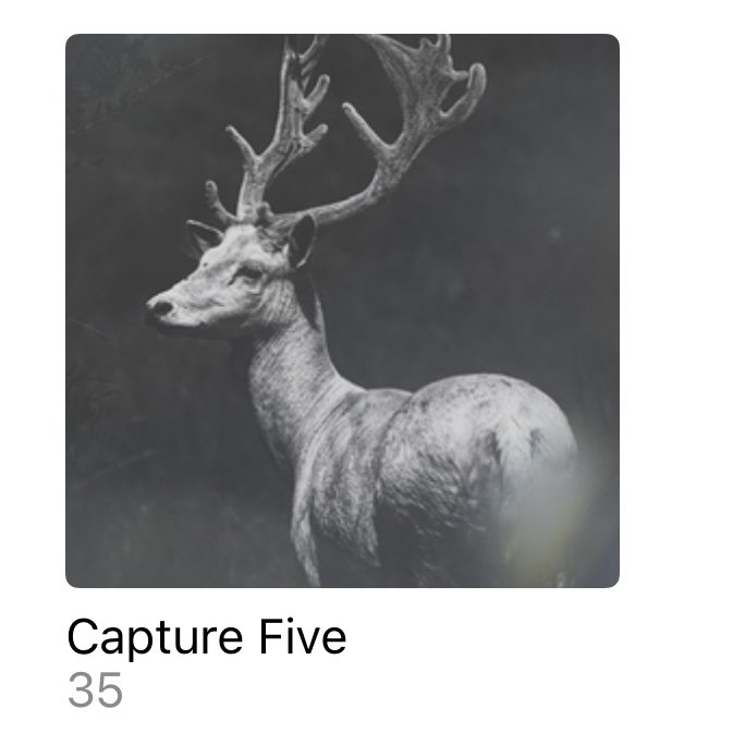 What is the Capture Five Challenge?
