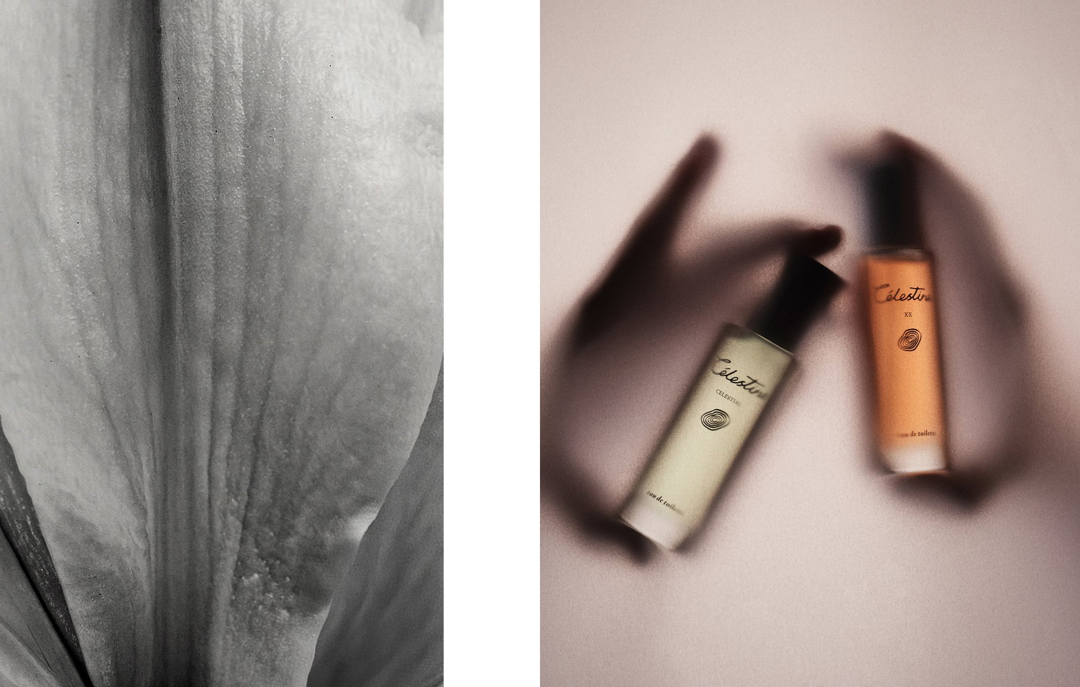 A black and white close-up of a flower petal with water droplets on its surface on the left, and two bottles of Celestine perfume, one cream-colored and one orange, lying on a pink surface on the right.