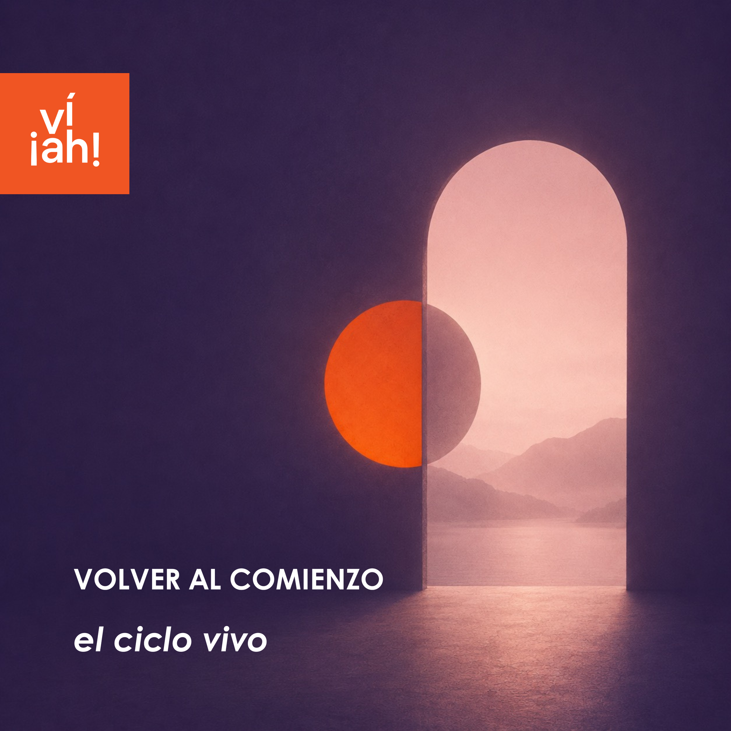 VOLVER AL COMIENZO