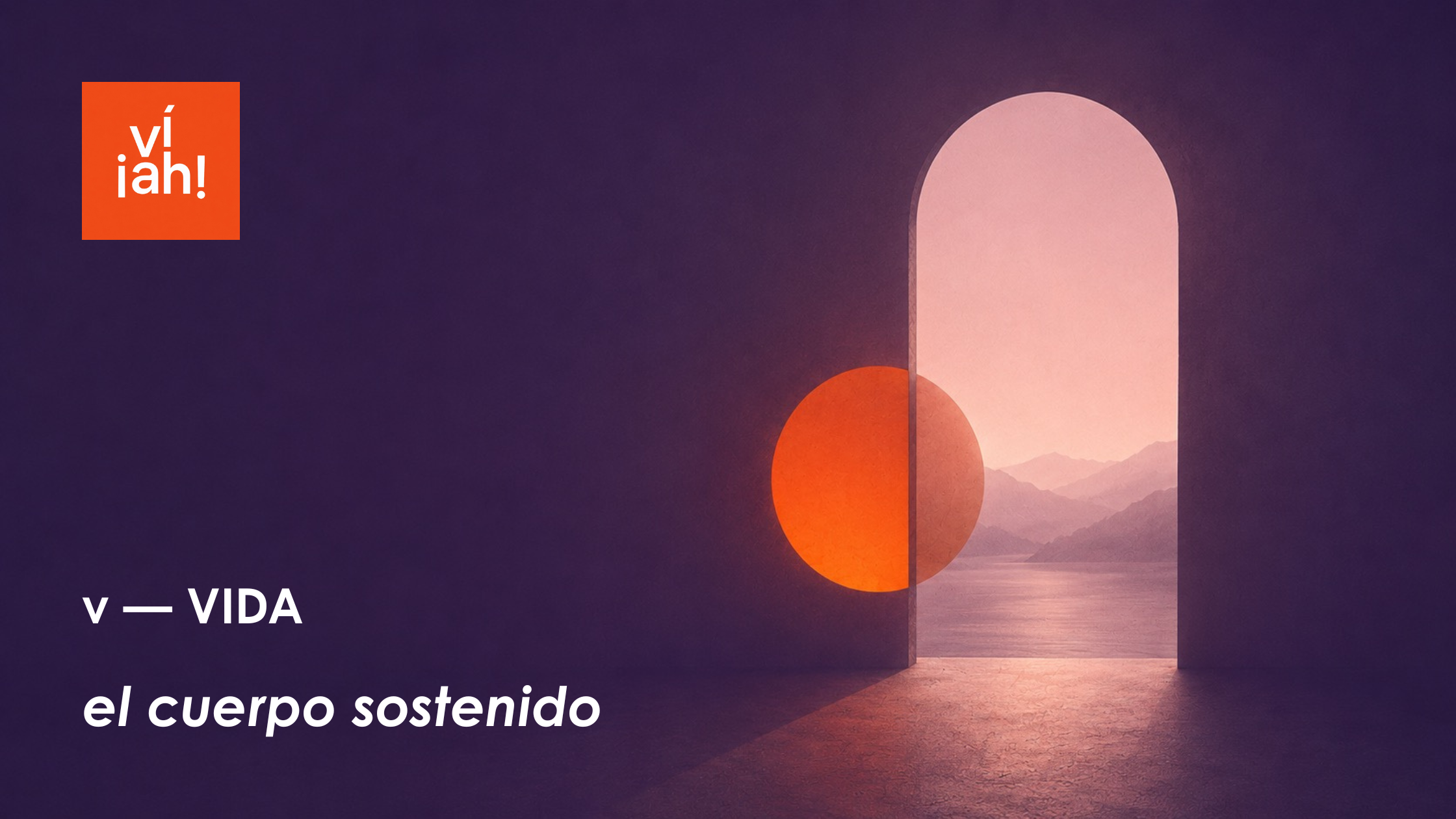 v — VIDA