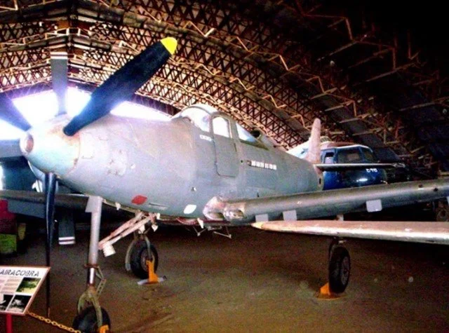 Original Photo__P39 Airacobra_Fagen Fighters.jpg