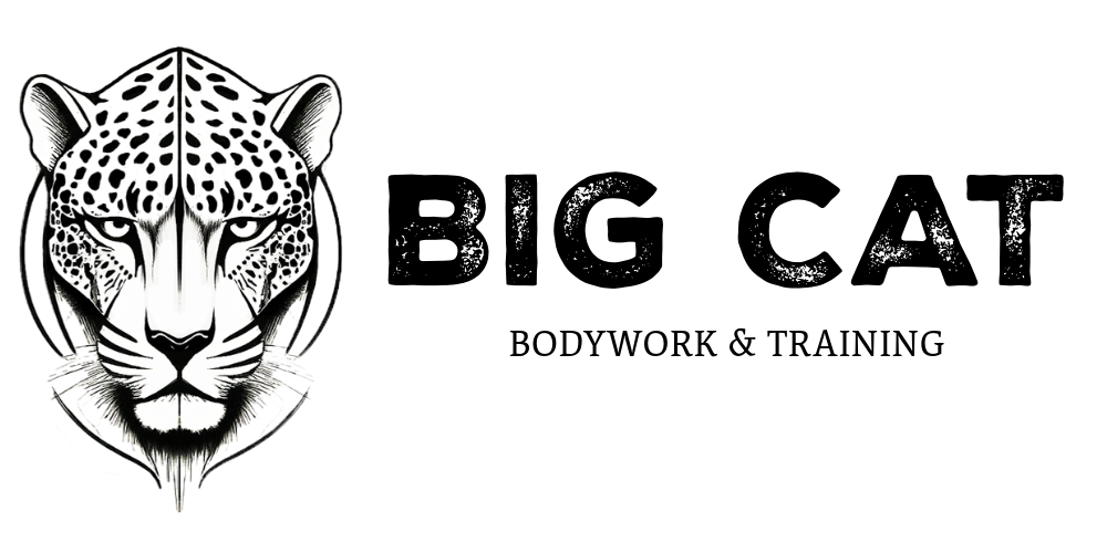 Big Cat Bodywork &amp; Training