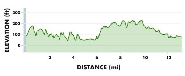 Elevation gain and loss over a 12-mile distance on a trail or route, plotted as a line graph.