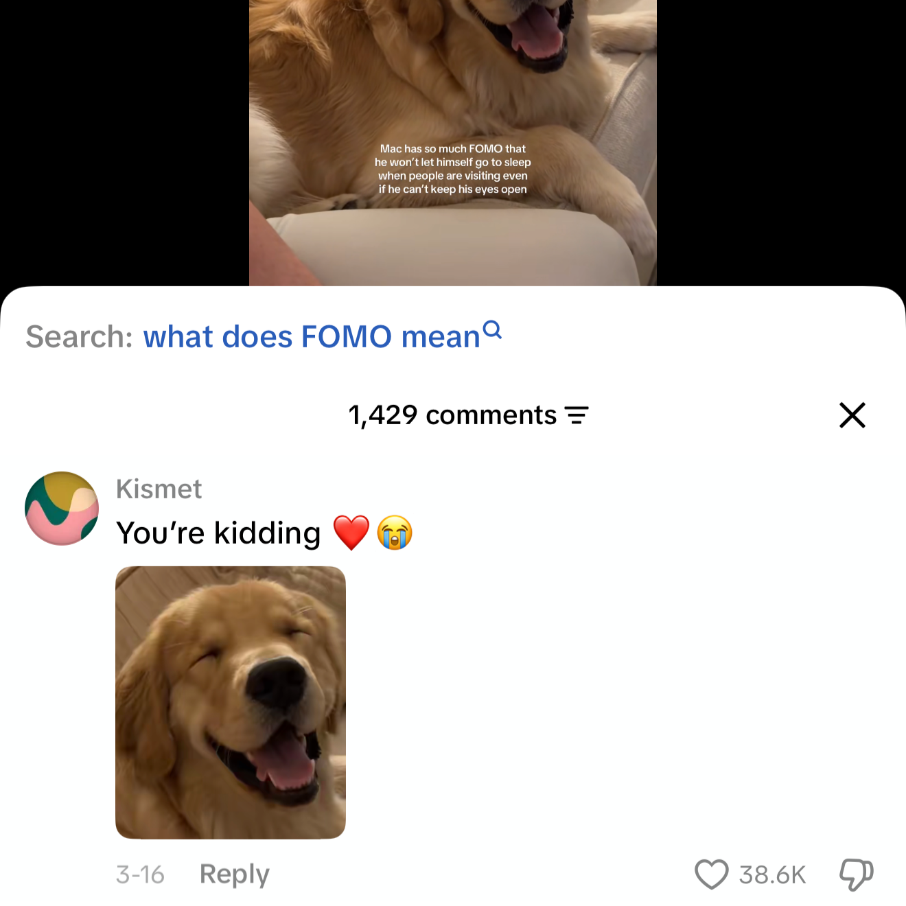 IMG_5234.png