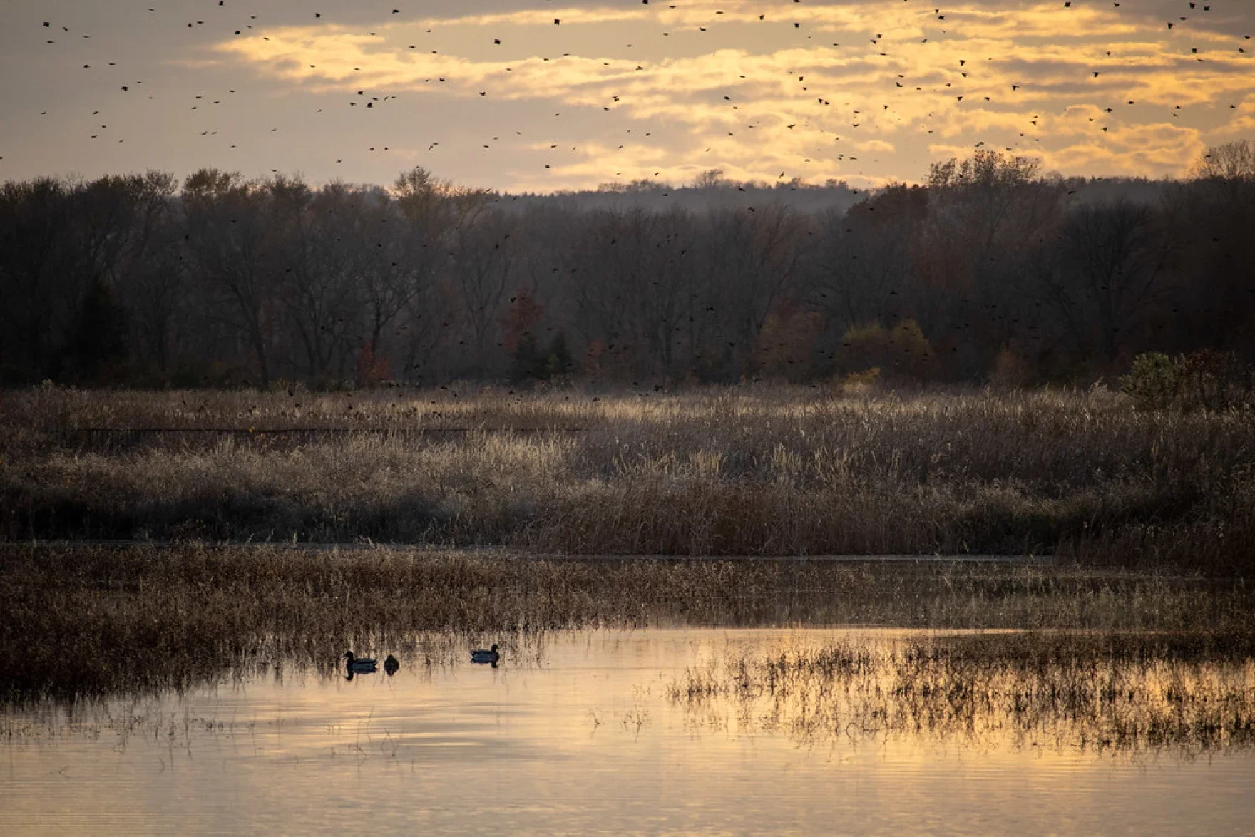 A Kansas professor is getting students to lead the climate change conversation