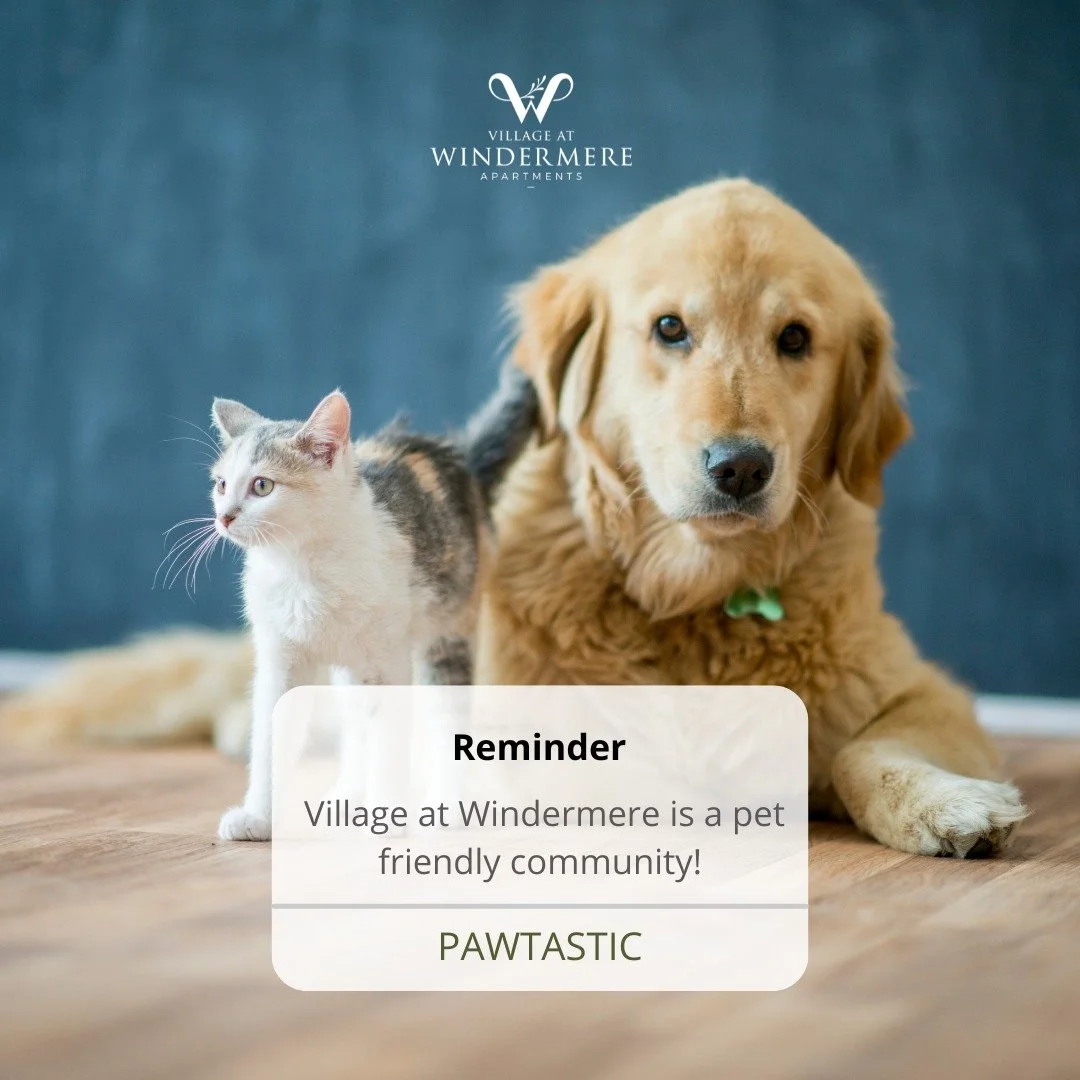 🐾 Four-legged residents welcome! At The Village at Windermere, your pets are part of the family. Discover a community where tails wag and purrs are always welcome. Schedule a tour today and see why our pet-friendly apartments are the purrfect place 