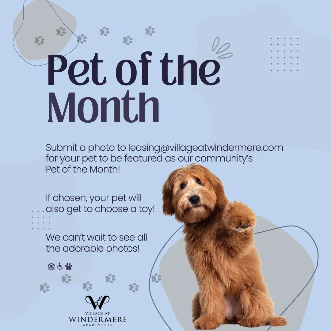 Calling Village at Windermere pet paw-rents! 🐶 🐱🐩😸

Send your pet photo to leasing@villageatwindermere.com for a chance to have them featured as Village at Windermere's Pet of the Month. If chosen, your pet will also get to choose a toy! Be sure 