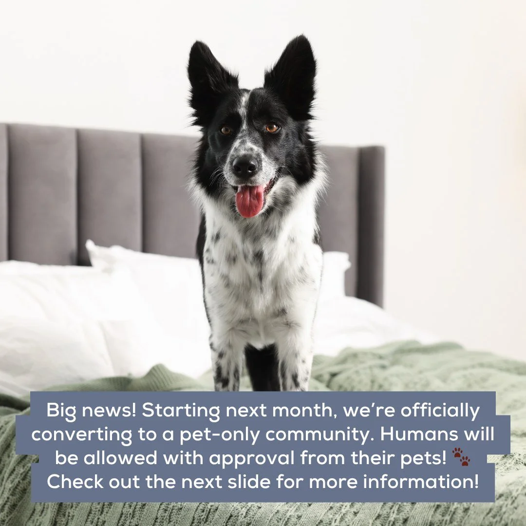 Okay, okay....we couldn&rsquo;t resist!

Happy April Fools&rsquo; from your favorite community 💛

#aprilfools #apartmentliving #residentfun #lovewhereyoulive #happyresidents #communityliving #lifestyle #apartmentgoals #funpost