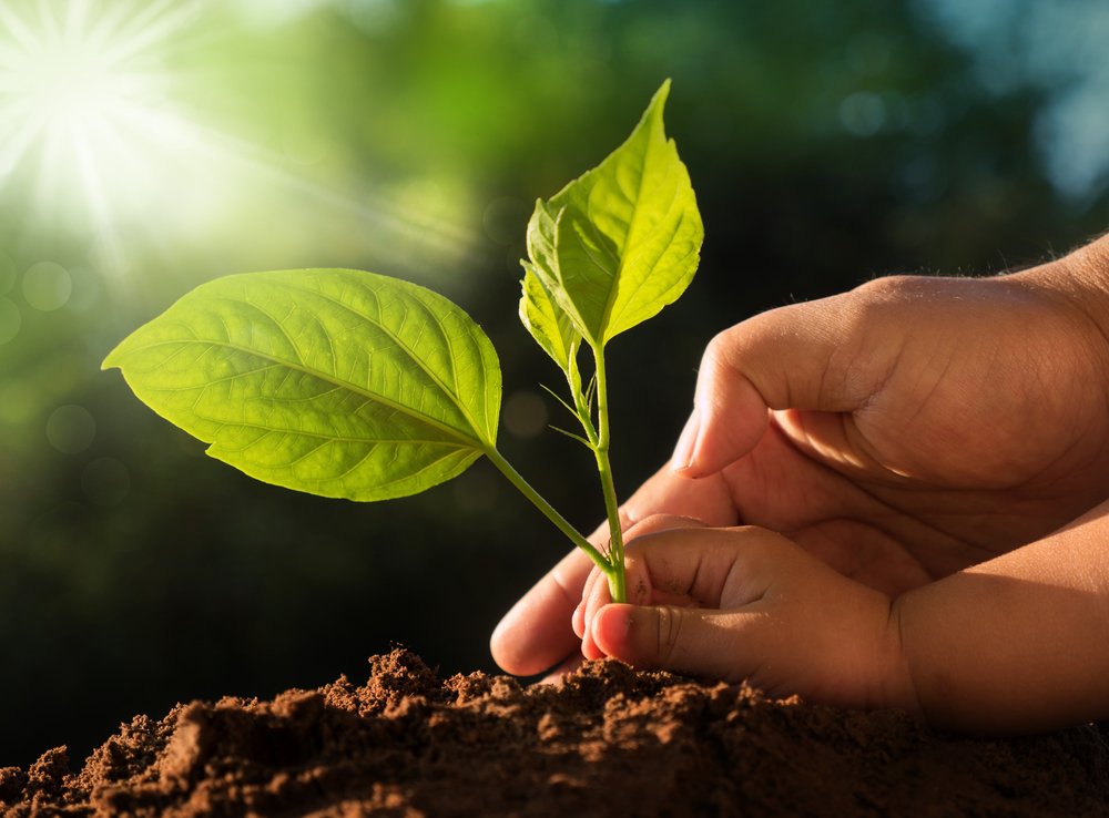 Wishing all our neighbors near and far a Happy Earth Day!

#earthday #earthdayeveryday #earthday2026 #apartmentgoals #makehomeyours #amazingapartment #apartmentliving