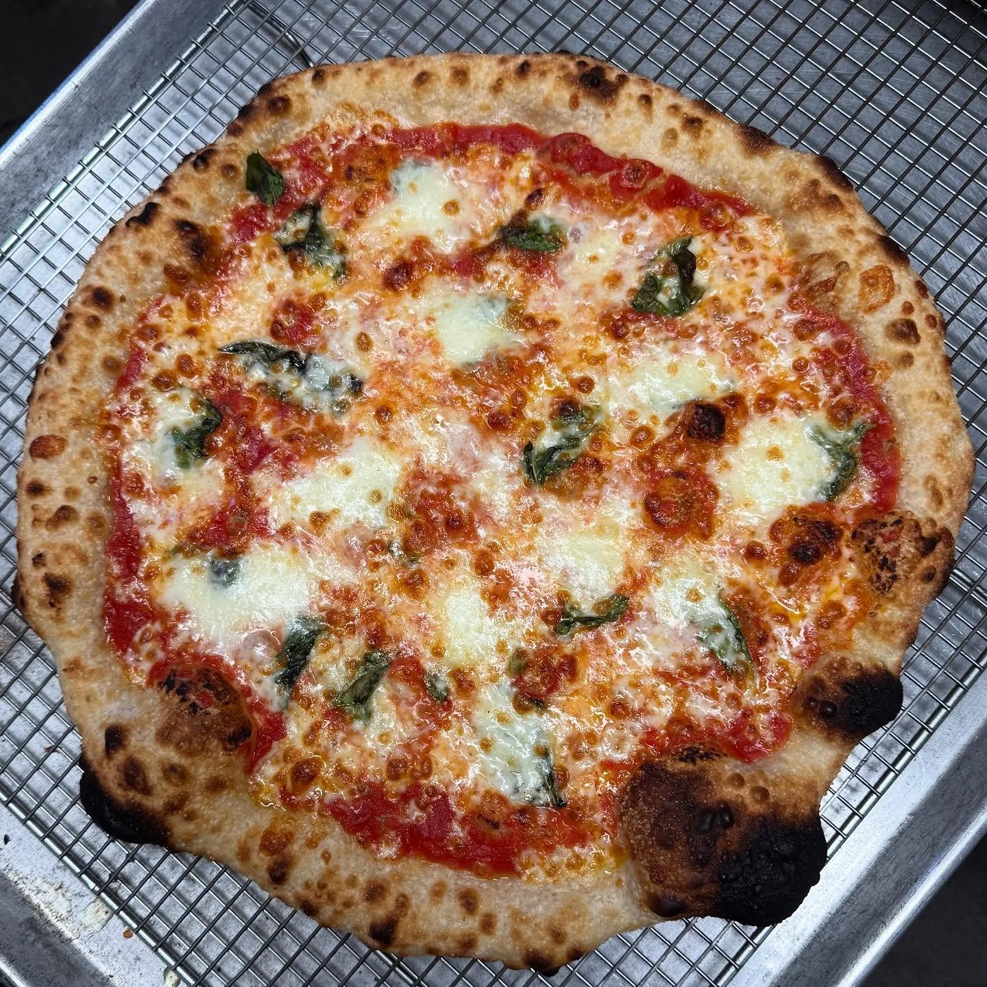 NEVER GET TIRED OF THE CLASSICS

MARG UP YOUR WEDNESDAY