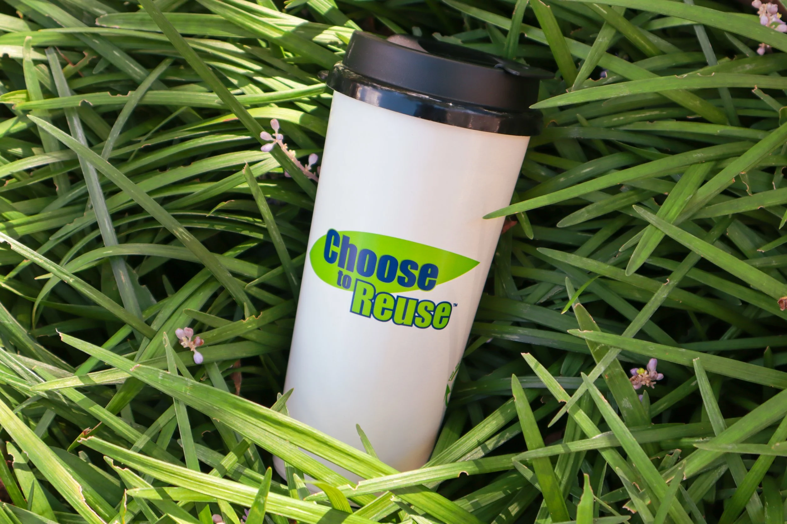 Product Photography