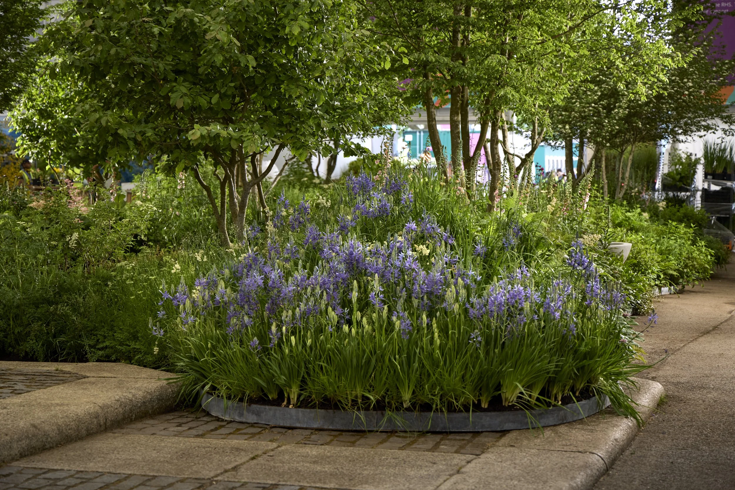 Monument-Feature-Garden-_T2_6422.jpg