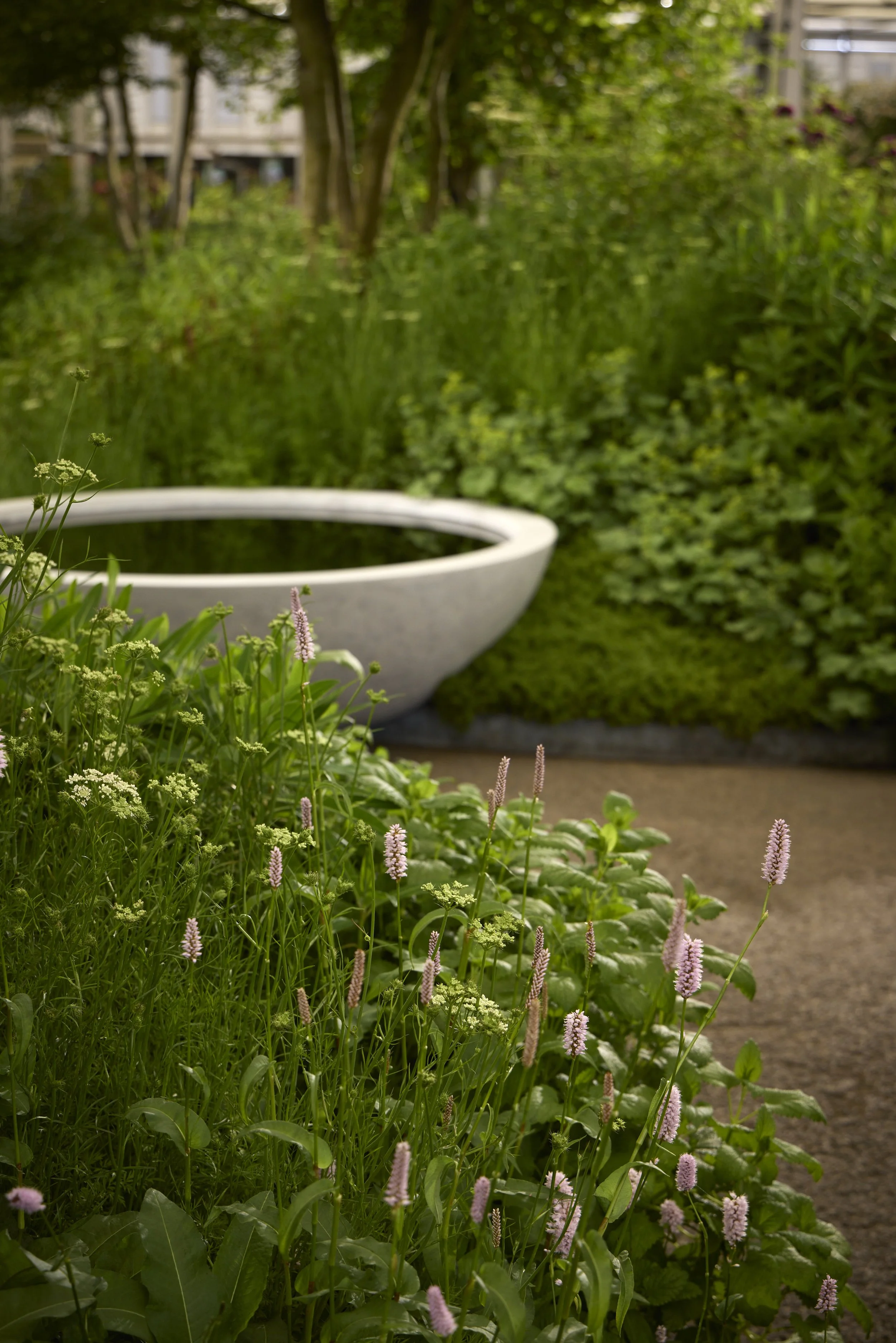 Monument-Feature-Garden-_T2_6365.jpg
