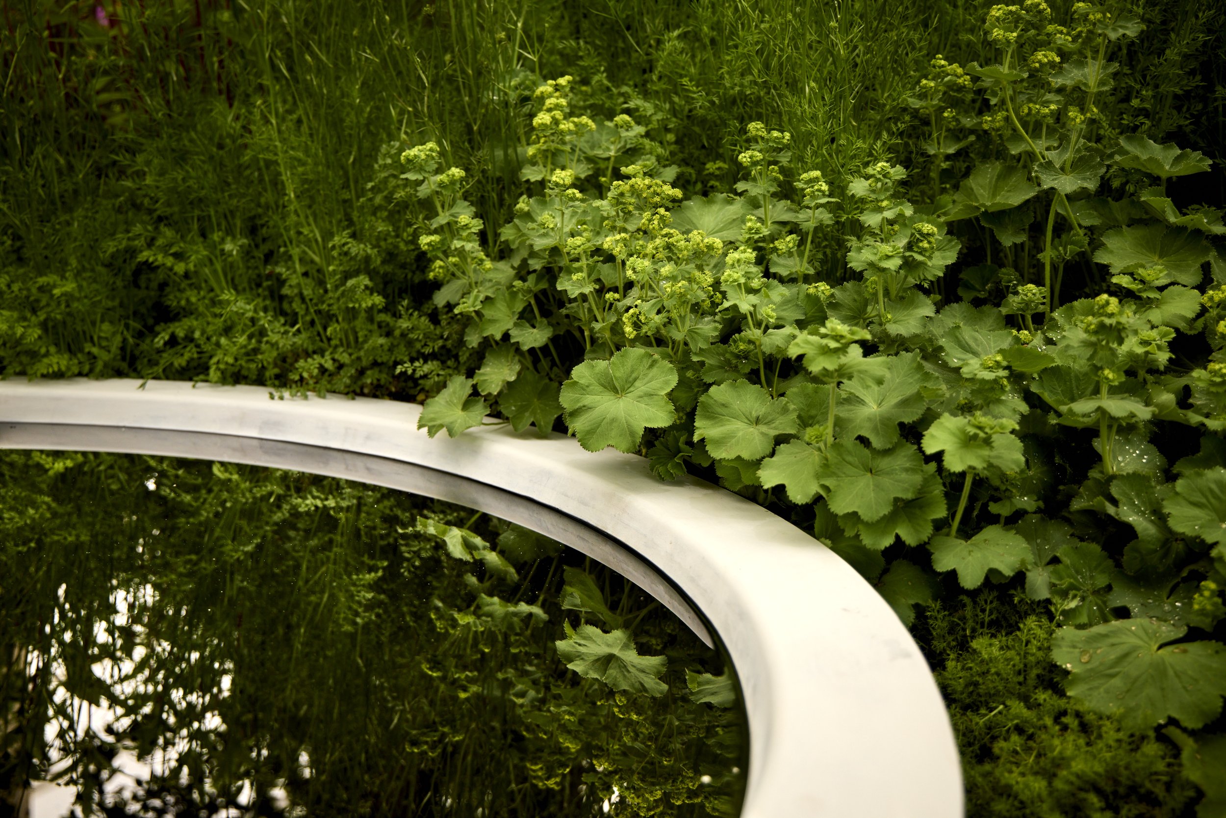 Monument-Feature-Garden-_T2_6288.jpg