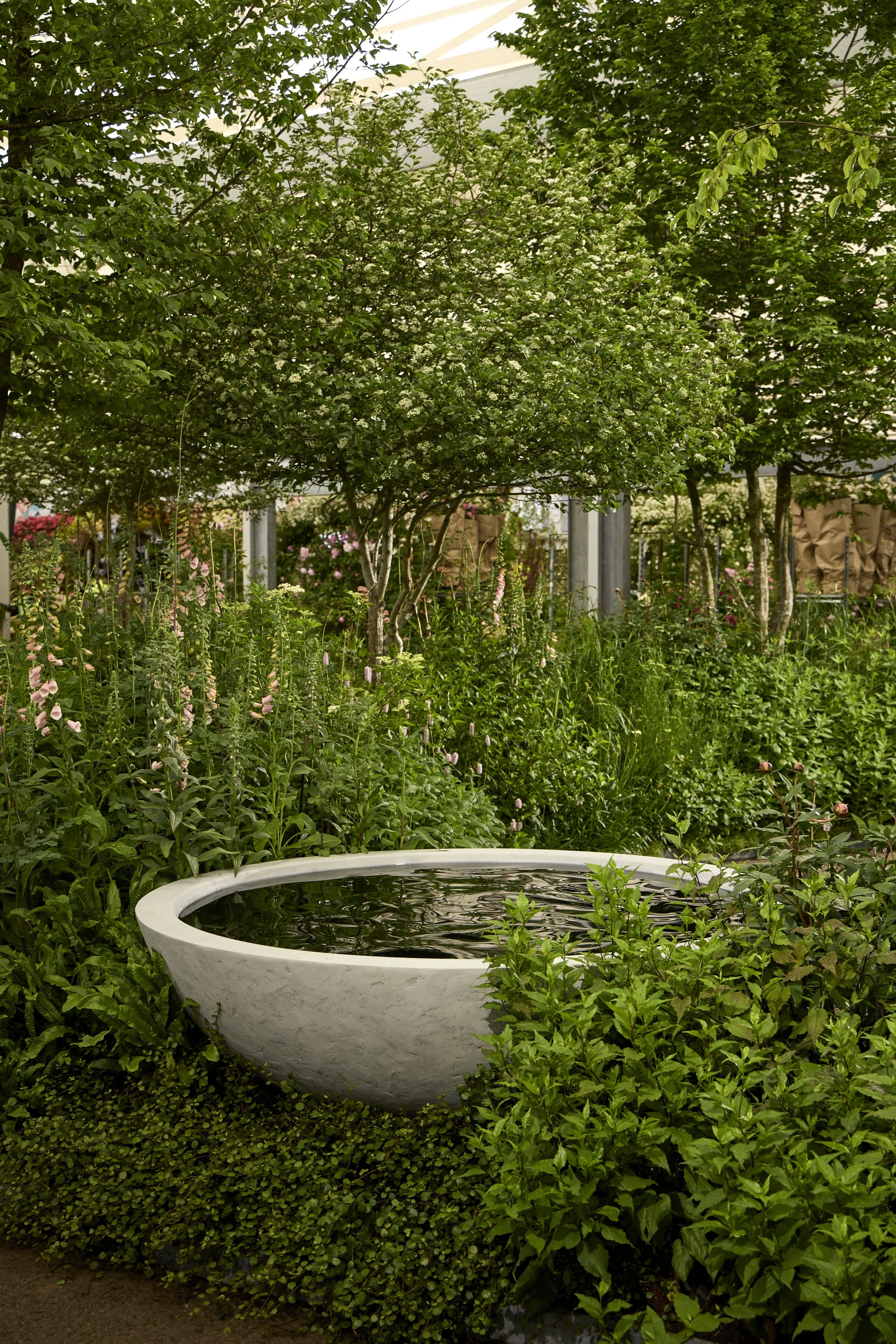 Monument-Feature-Garden-_T2_6154.jpg