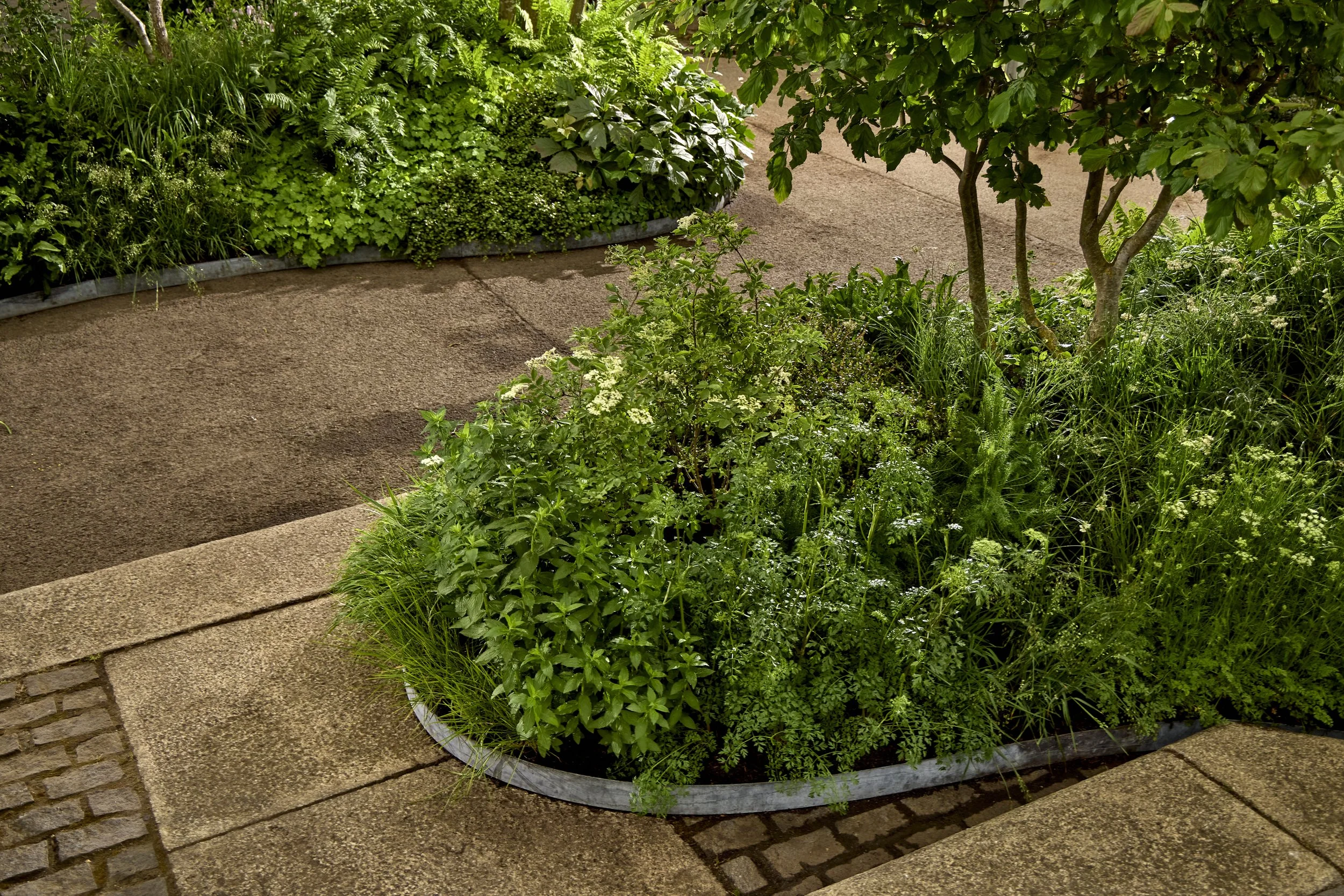 Monument-Feature-Garden-_T2_6468.jpg