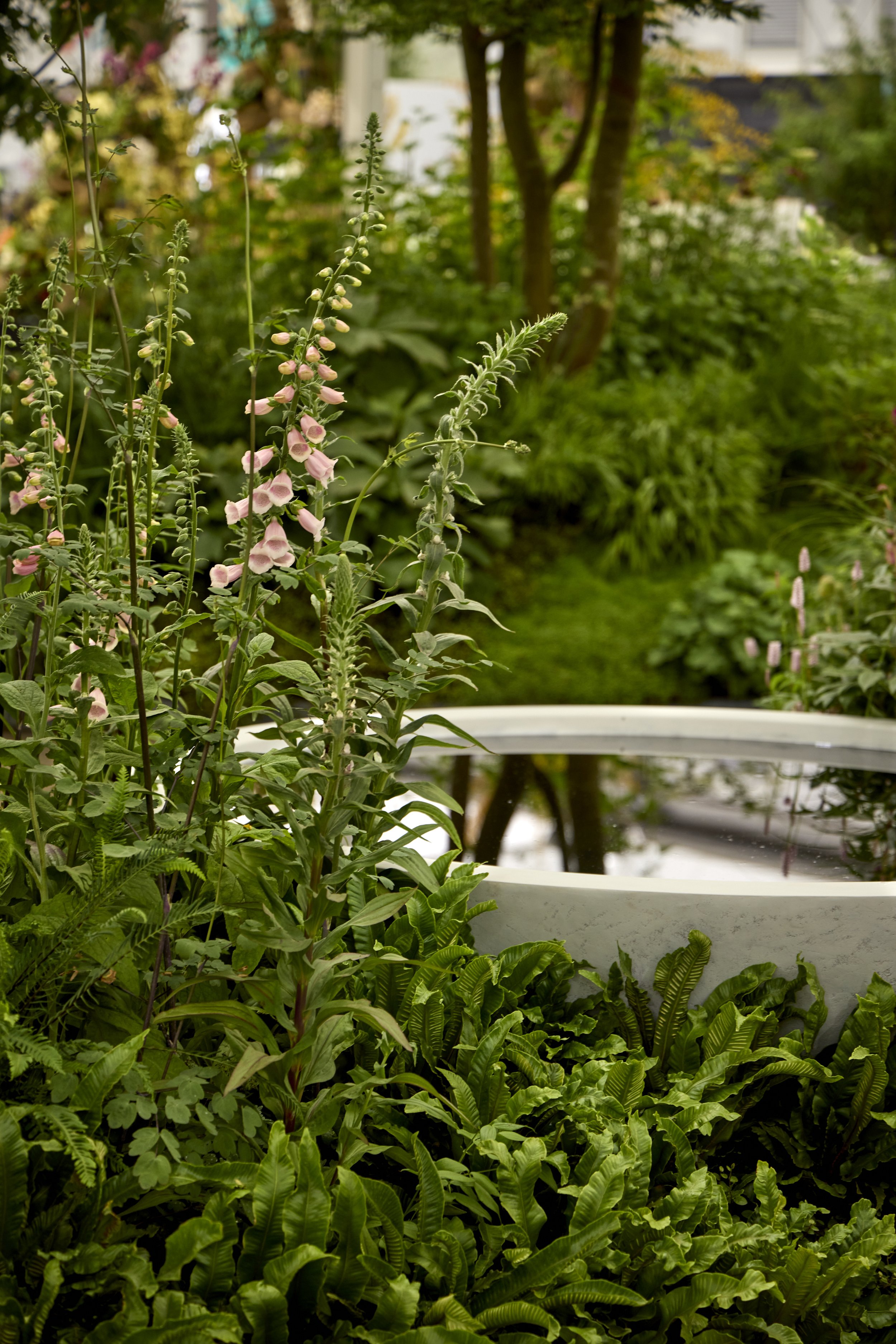 Monument-Feature-Garden-_T2_6195.jpg