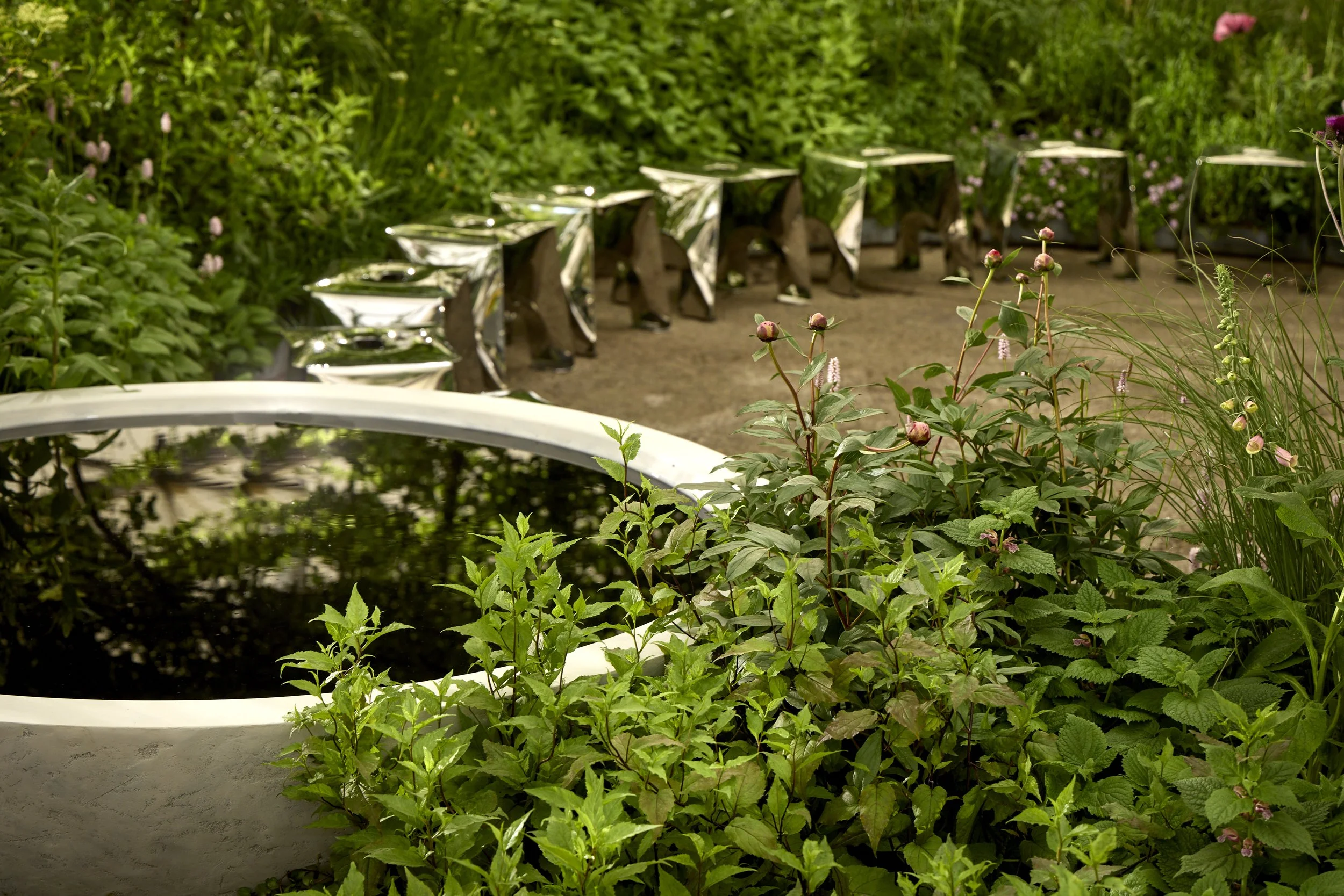 Monument-Feature-Garden-_T2_6271.jpg